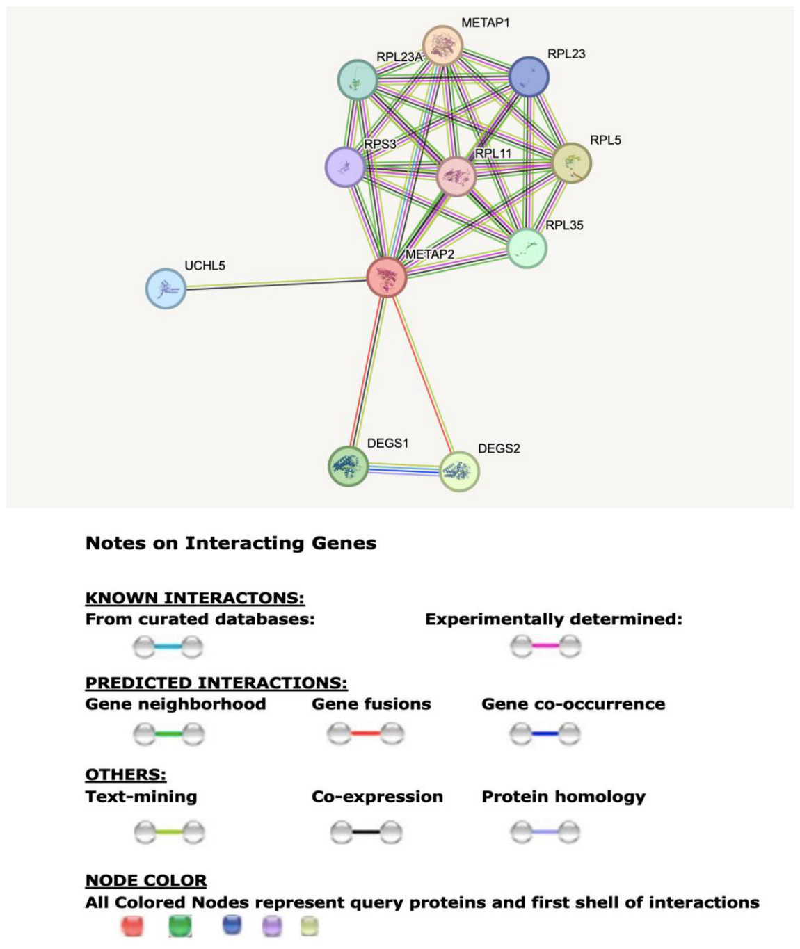 Preprints 234600 g001 Preprints 234600 g001