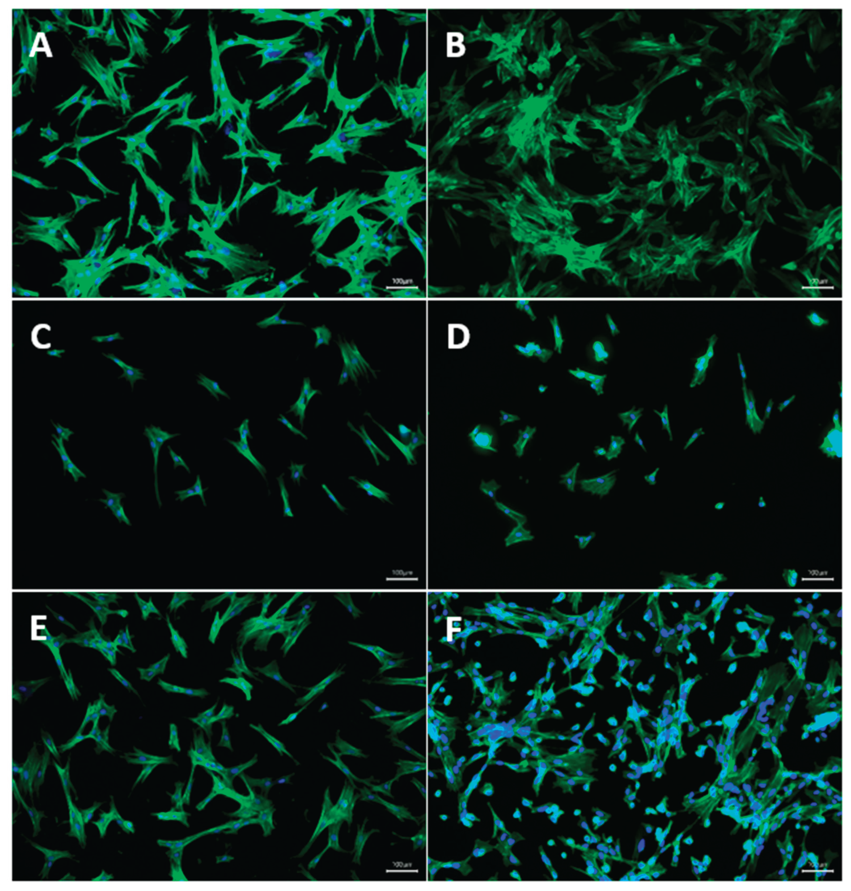 Preprints 220012 g011a Preprints 220012 g011a