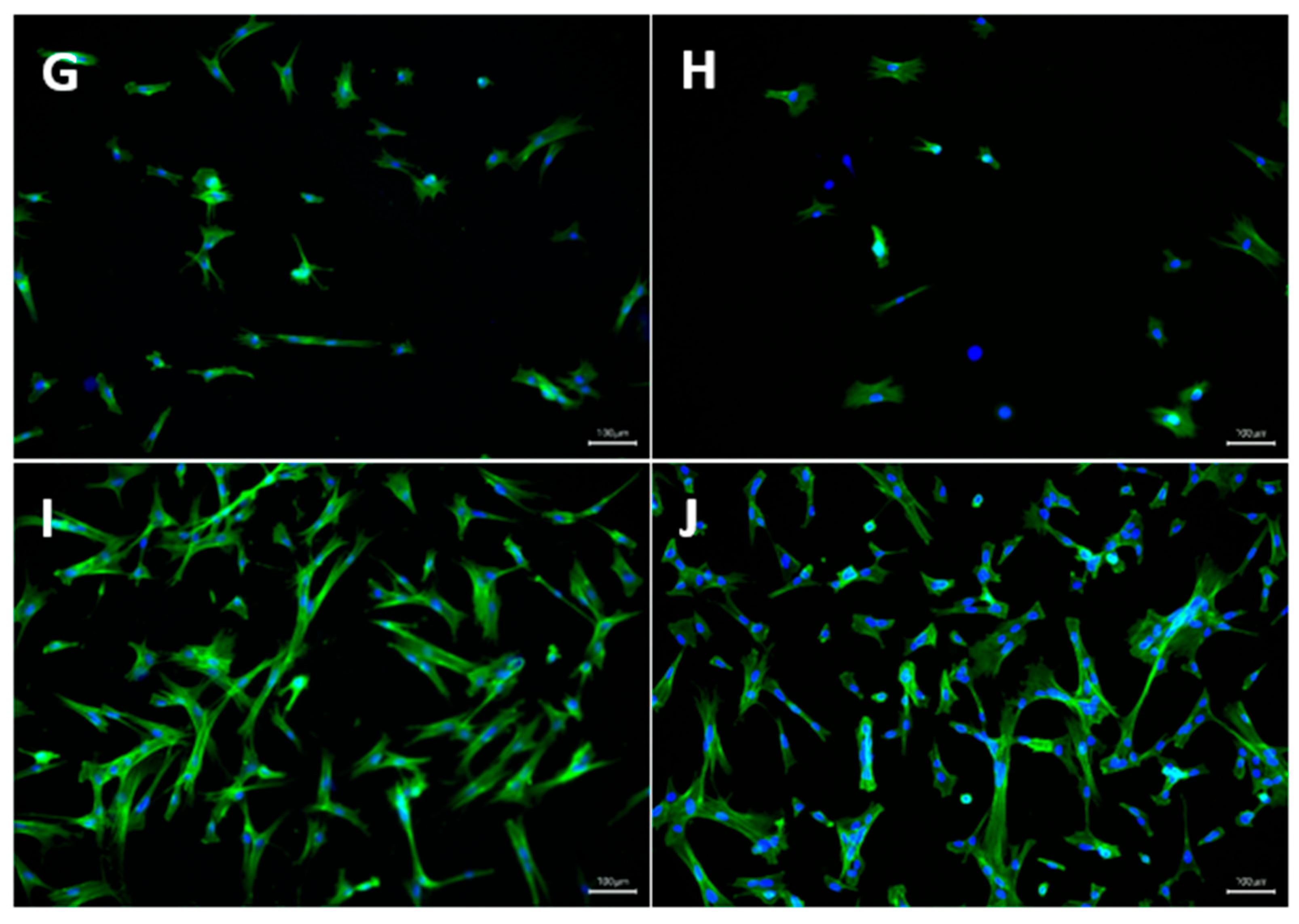 Preprints 220012 g011b