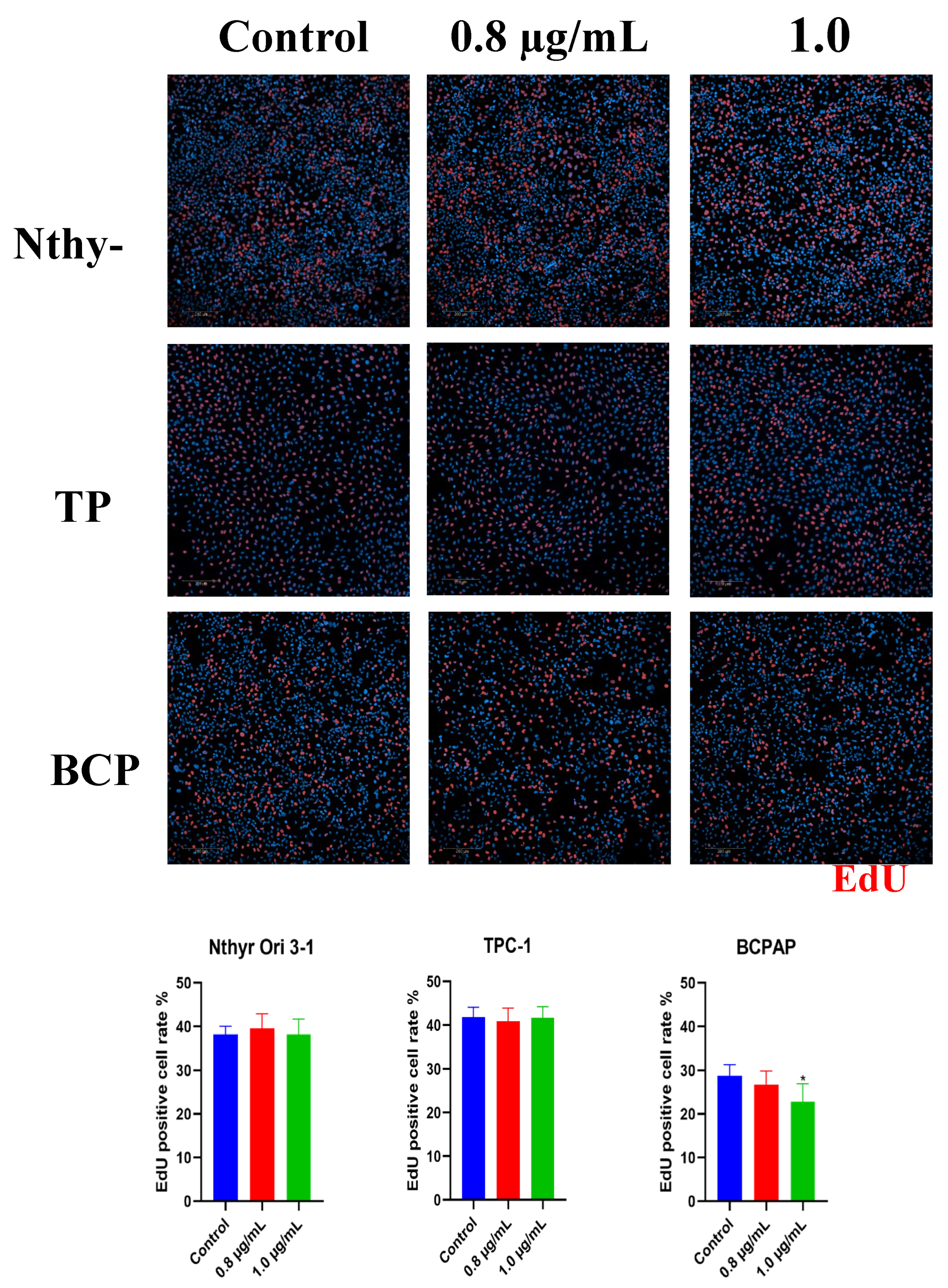 Preprints 186534 g002