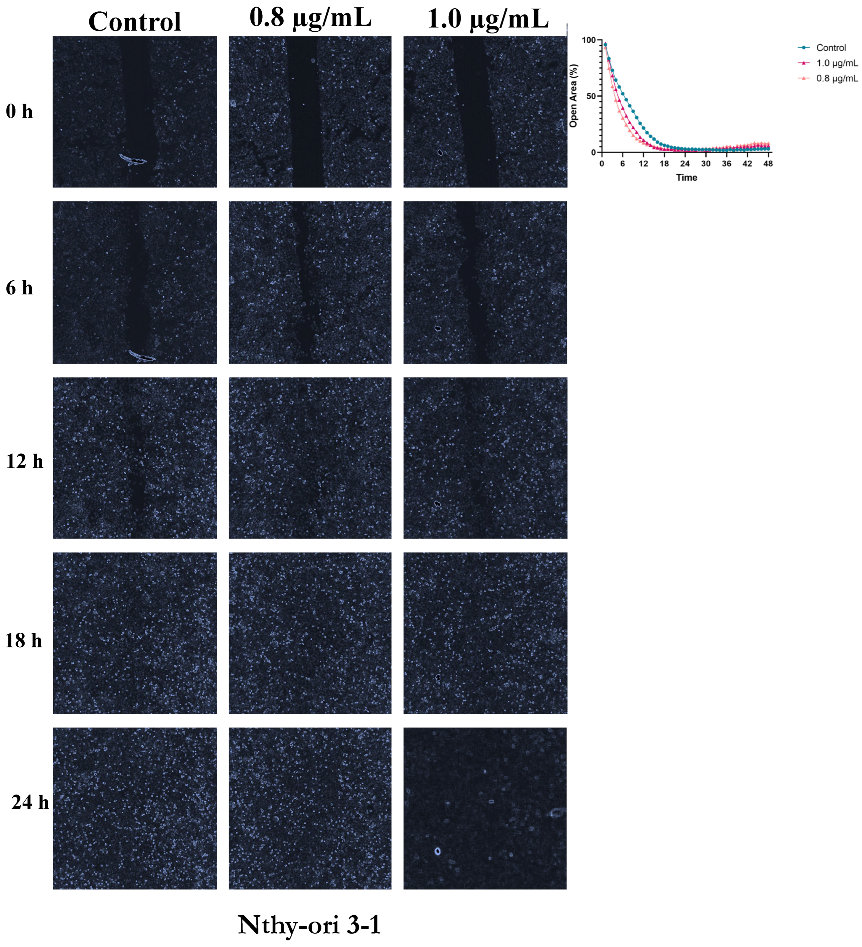 Preprints 186534 g003
