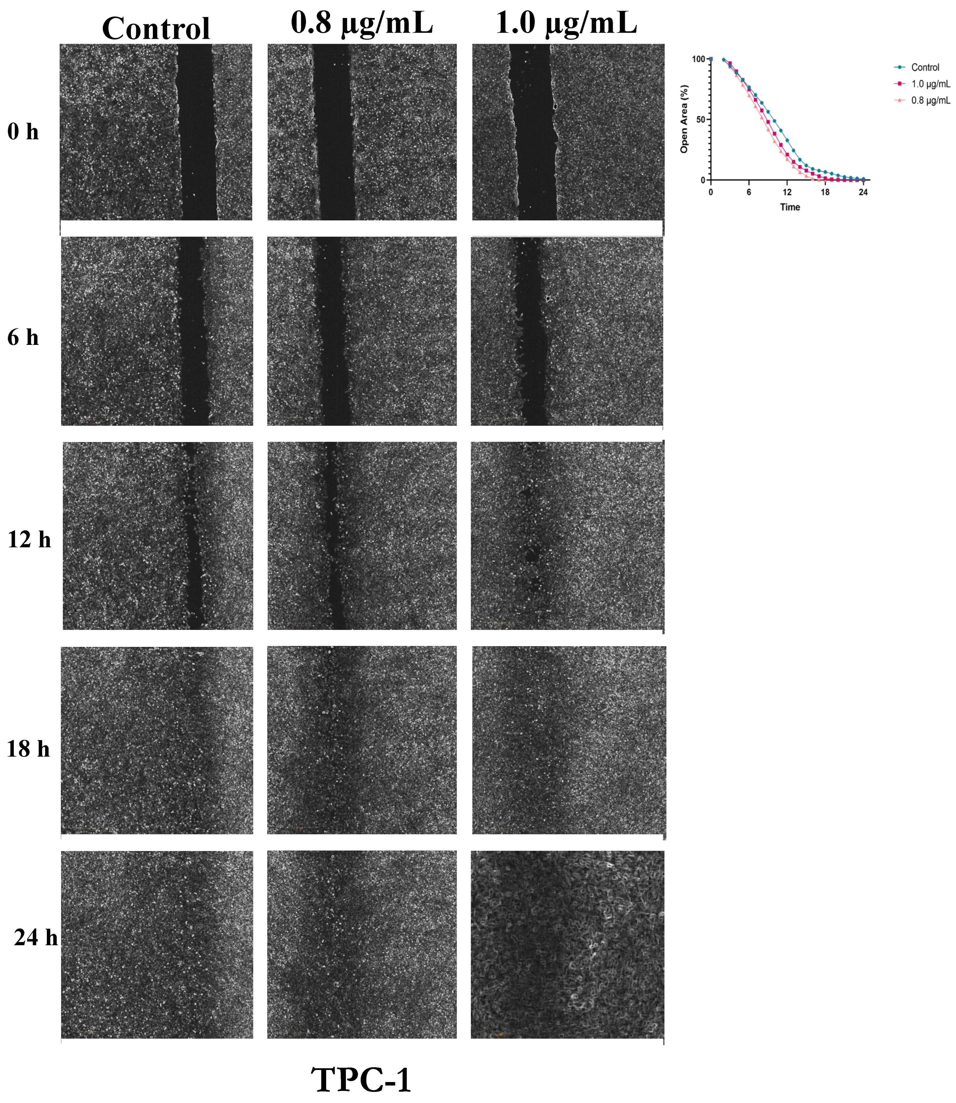 Preprints 186534 g004