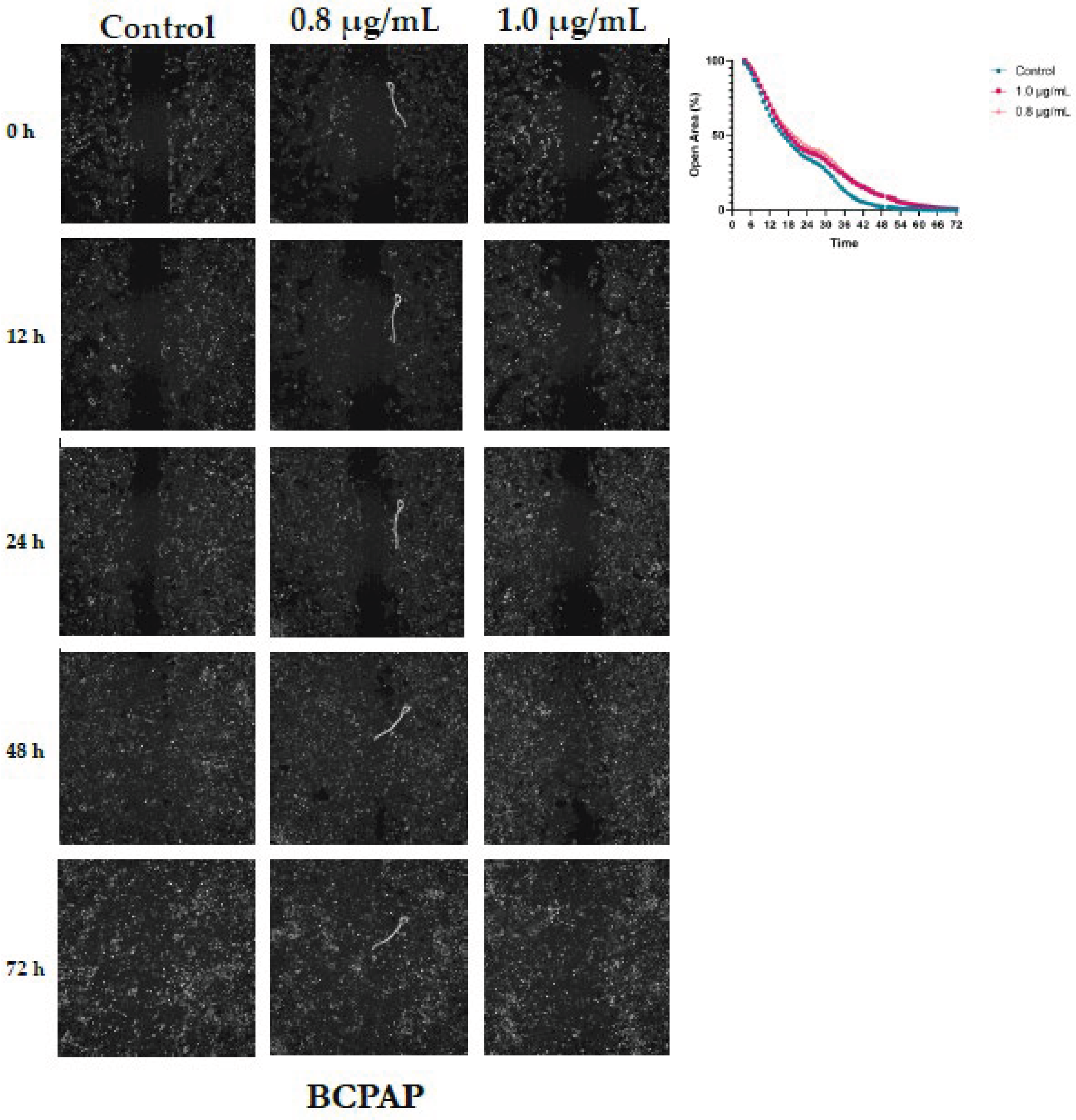 Preprints 186534 g005