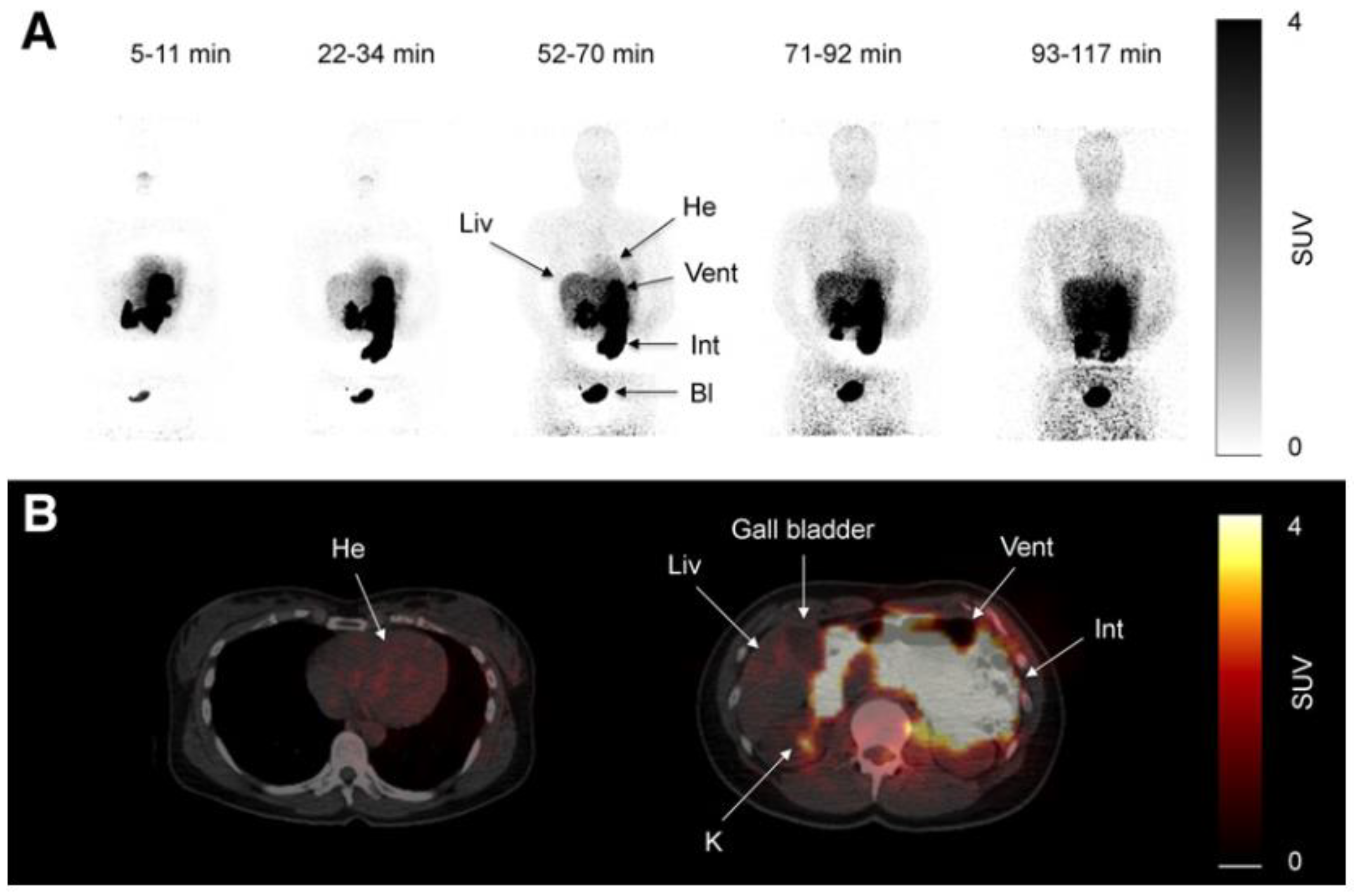 Preprints 142622 g001