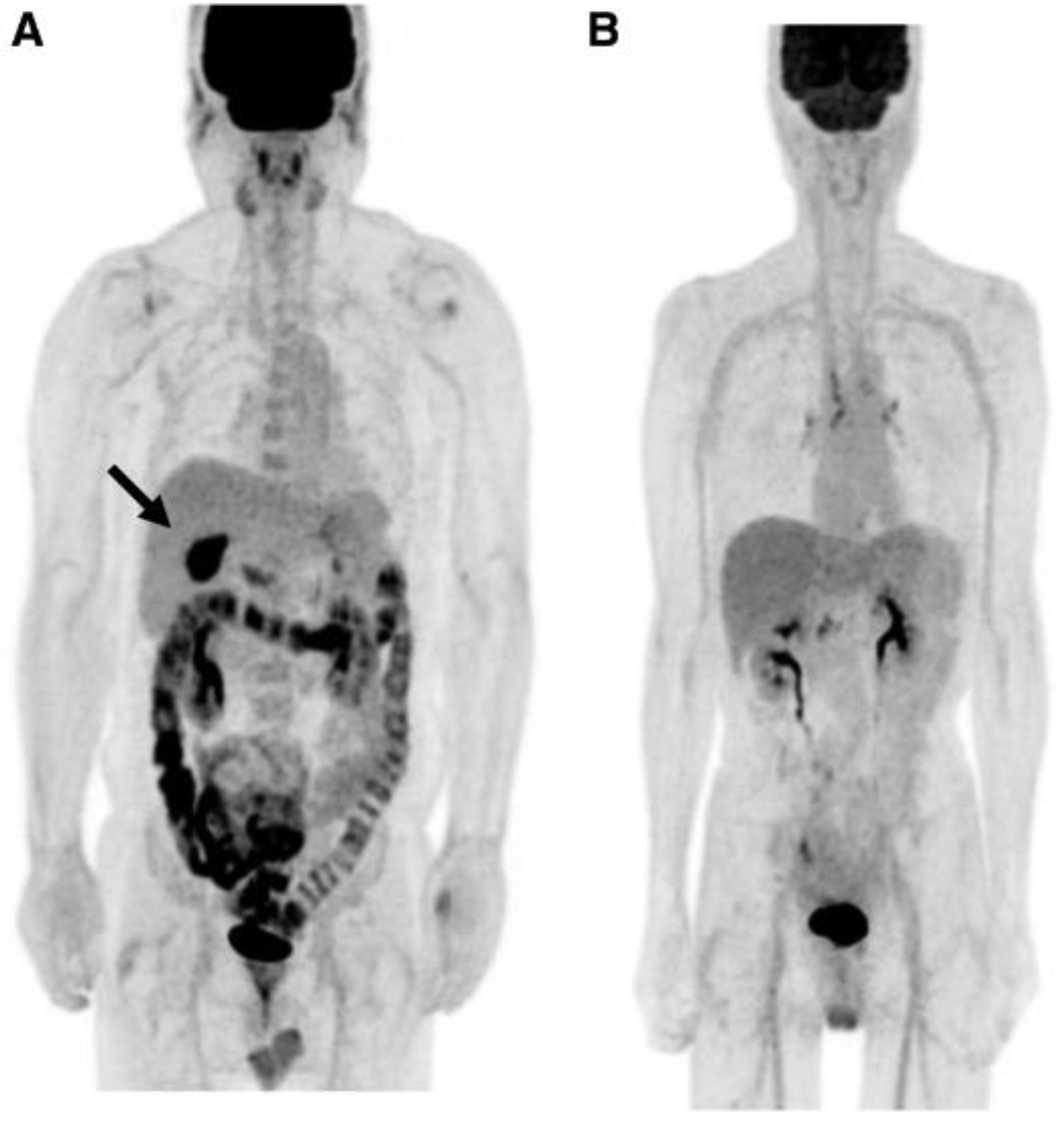 Preprints 142622 g002