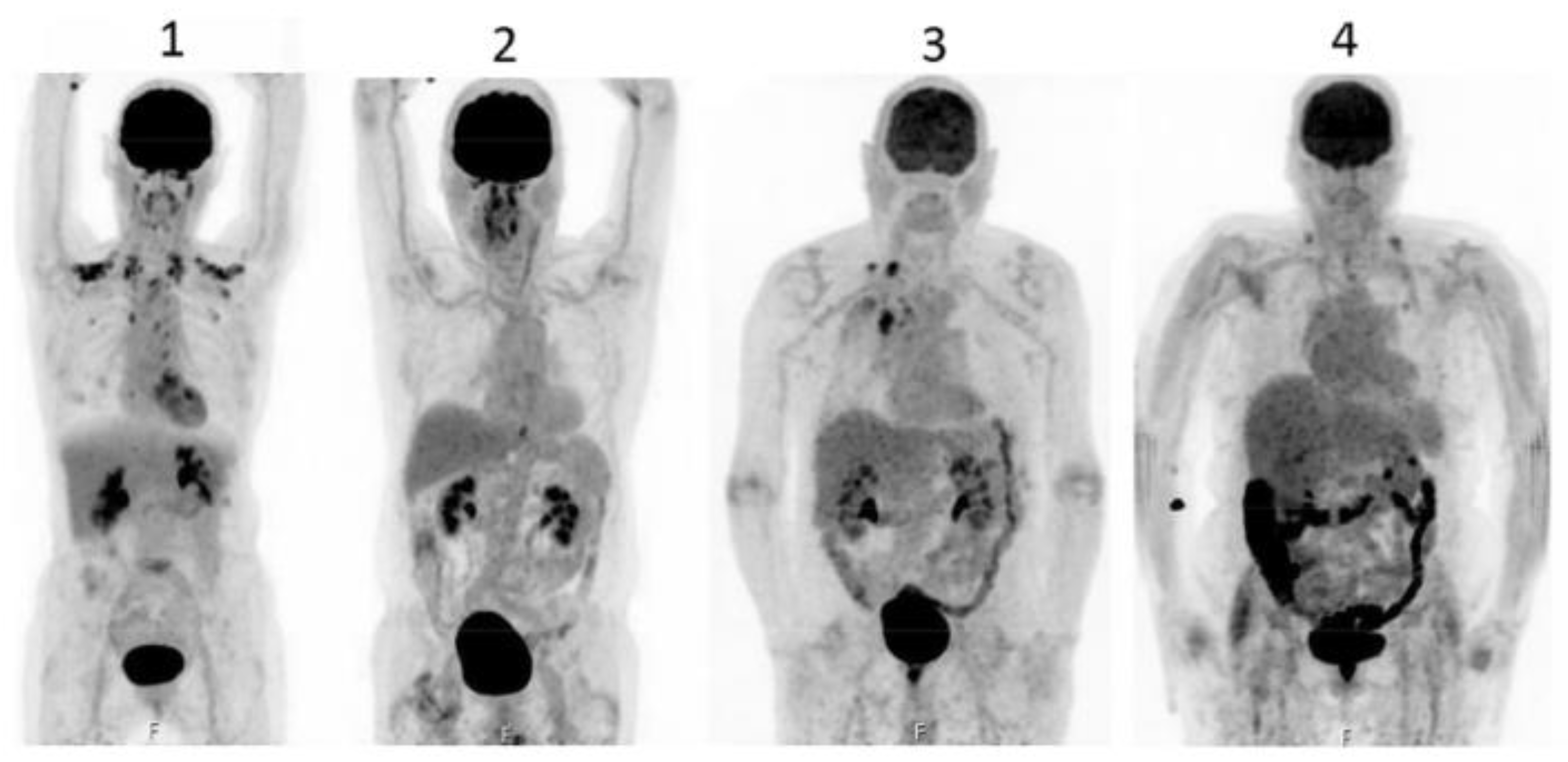Preprints 142622 g003