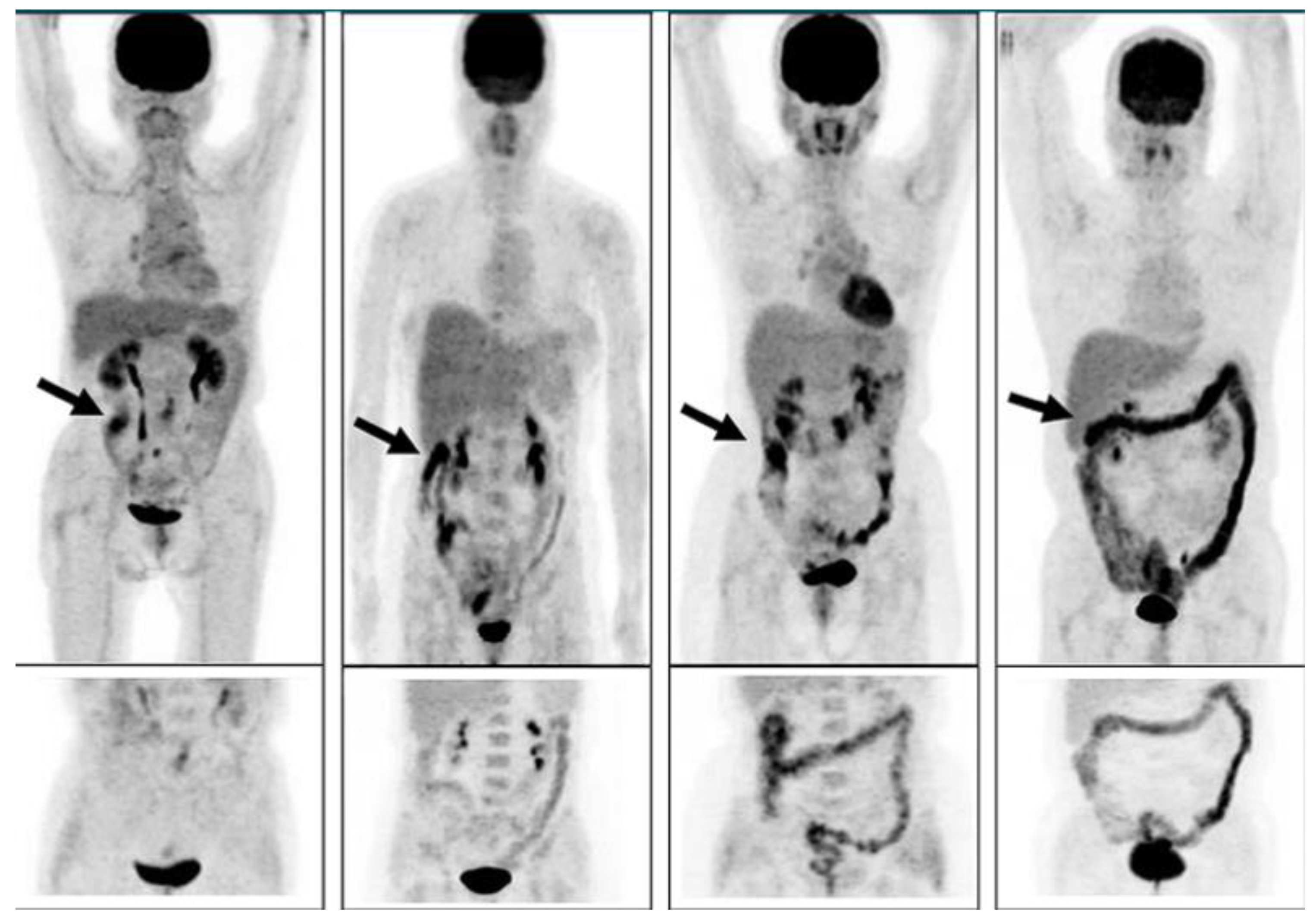 Preprints 142622 g004