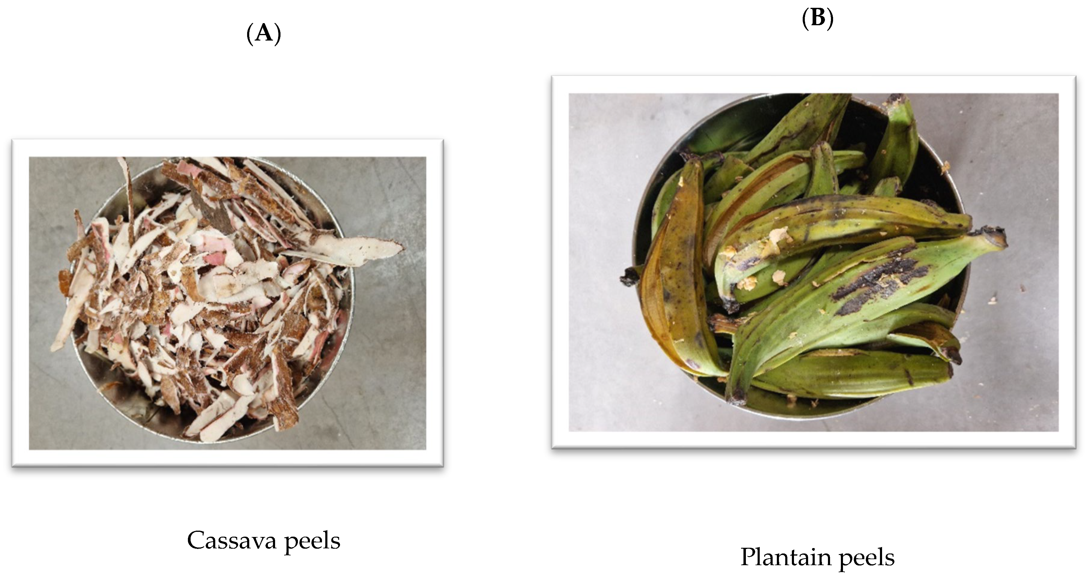 Preprints 139169 g004