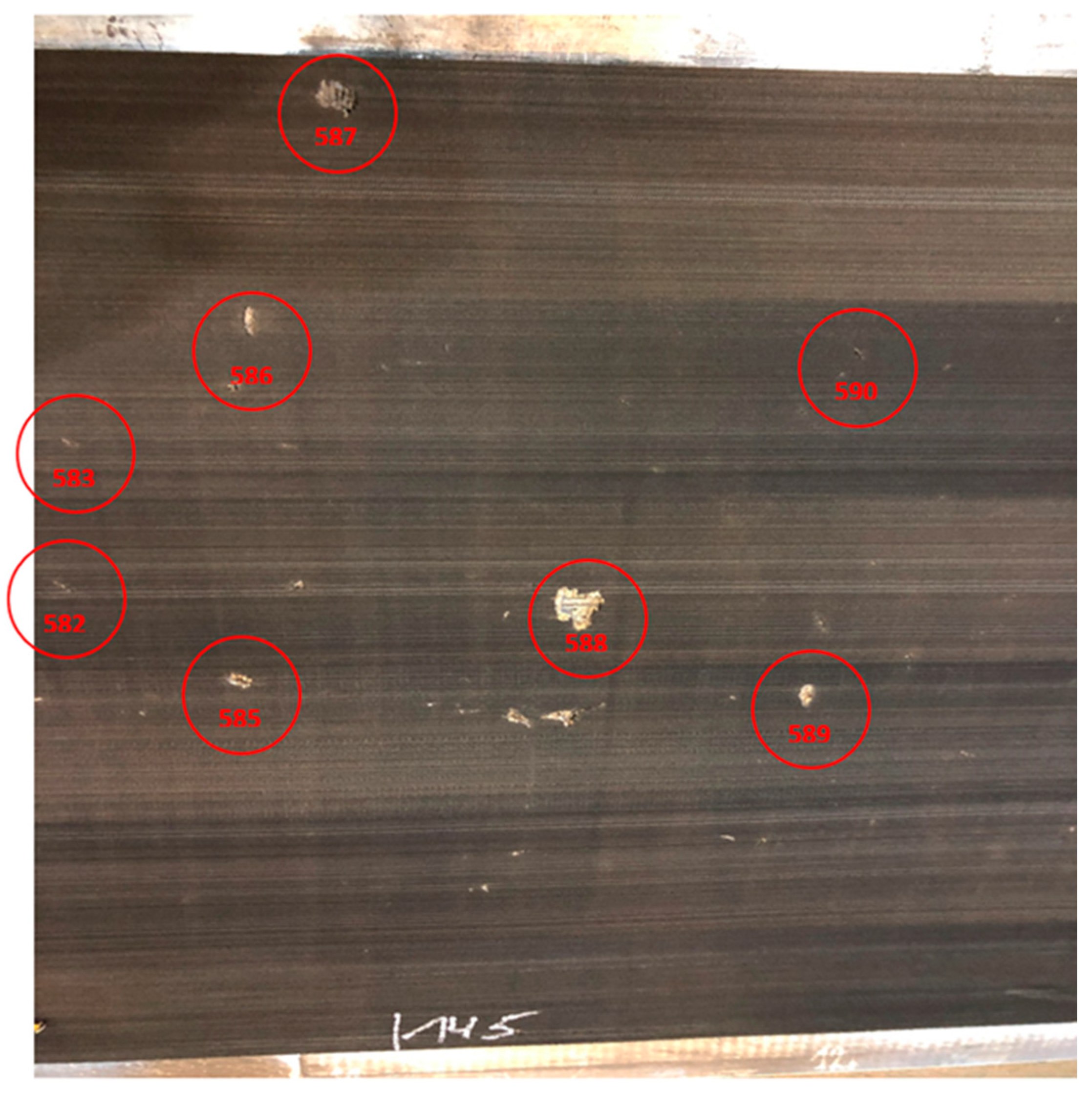 Preprints 154576 g011