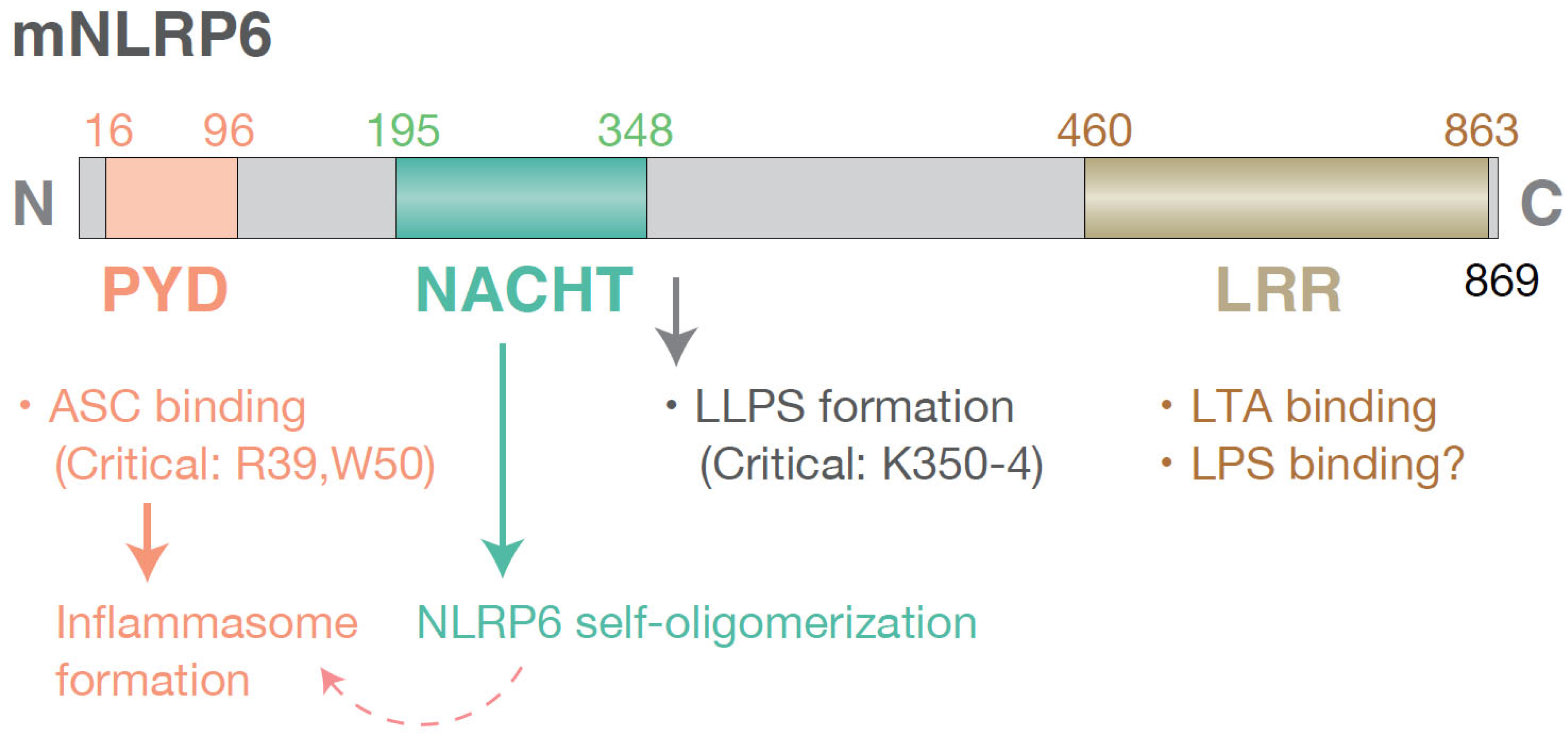 Preprints 196650 g001