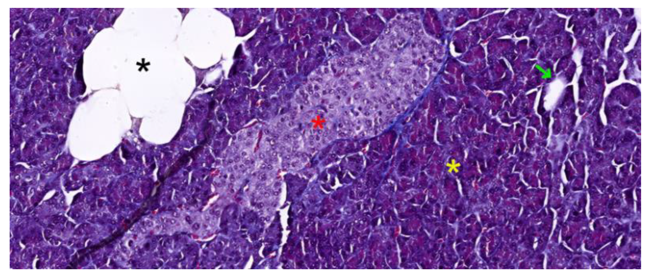 Preprints 121309 g001