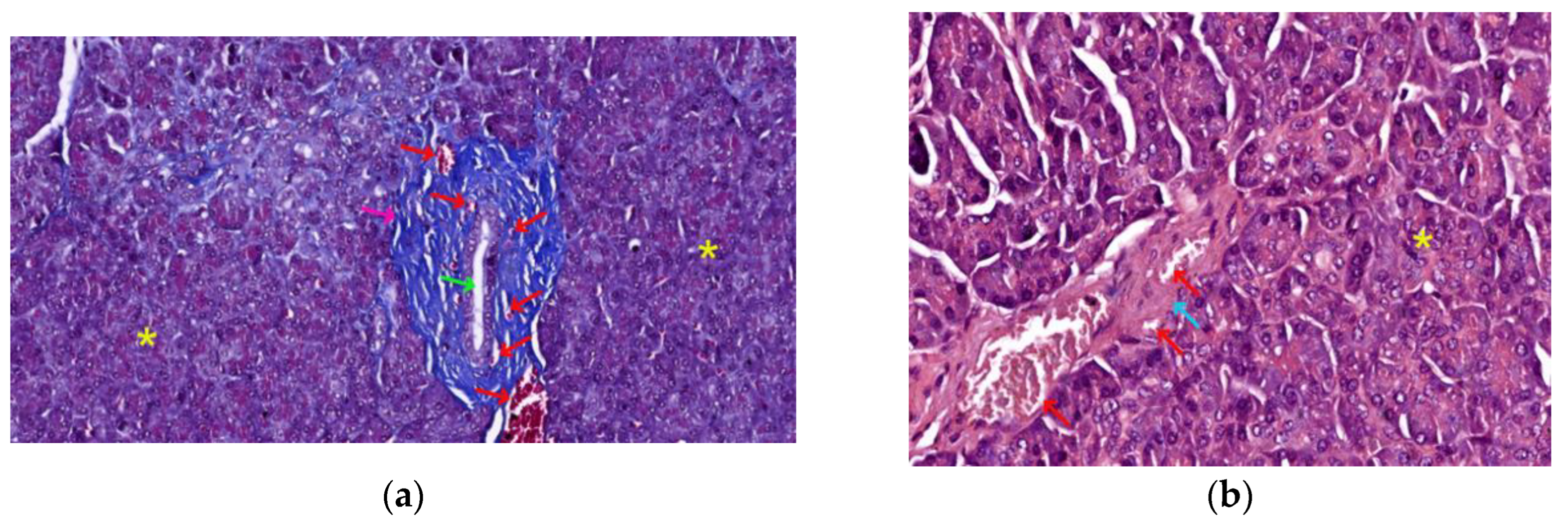 Preprints 121309 g002