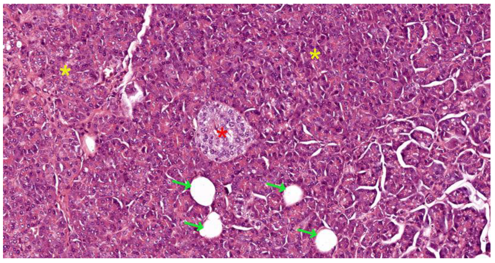 Preprints 121309 g003