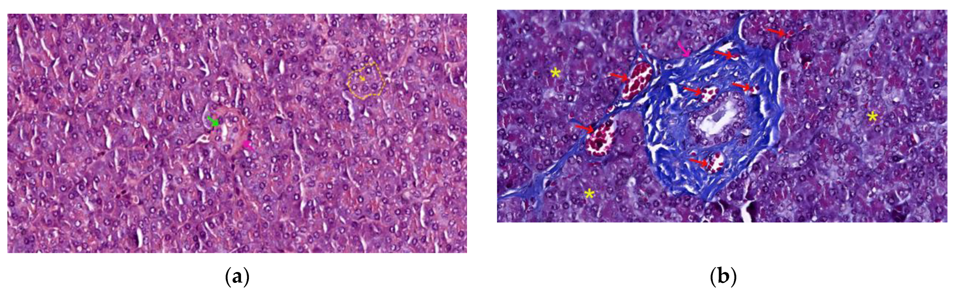 Preprints 121309 g004