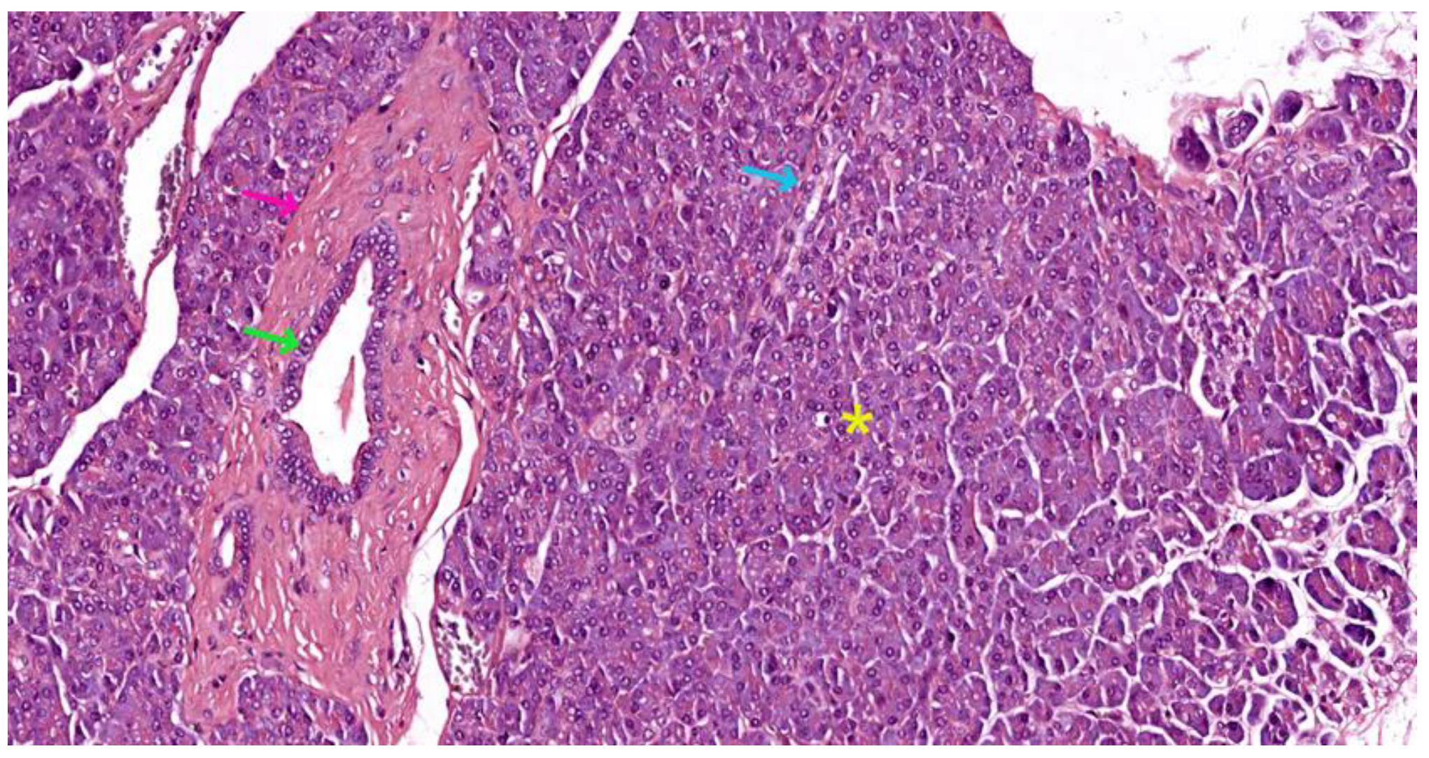 Preprints 121309 g005