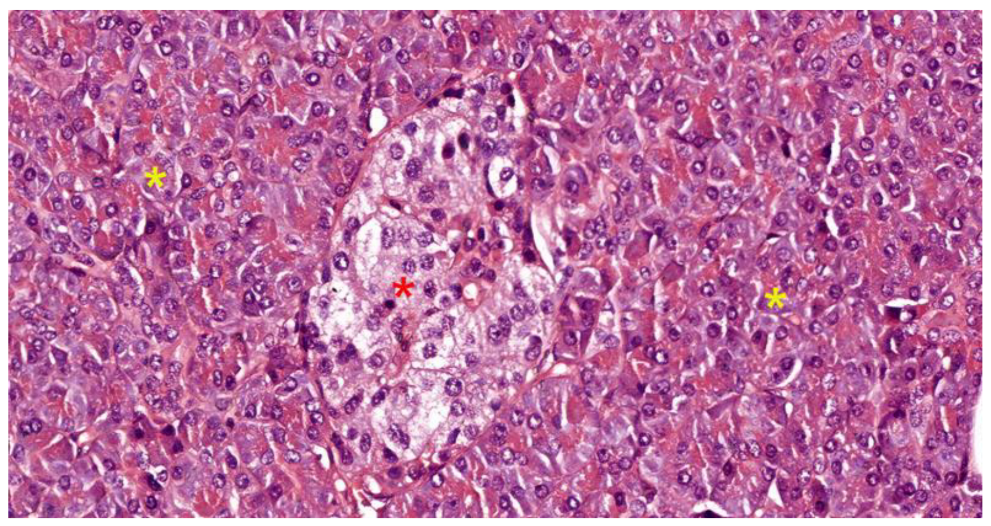 Preprints 121309 g006