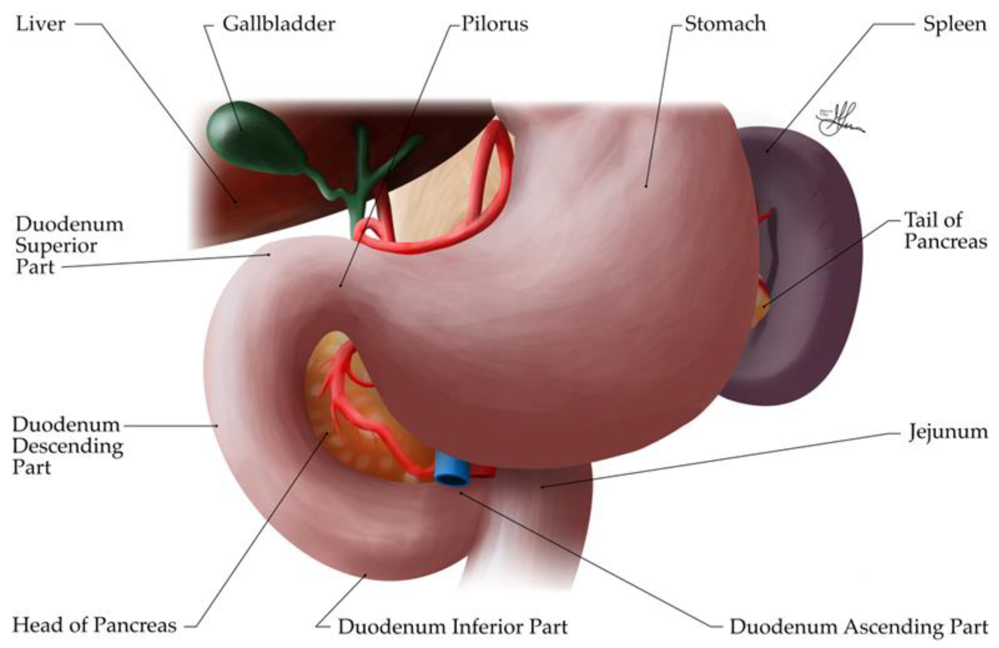 Preprints 121309 g007