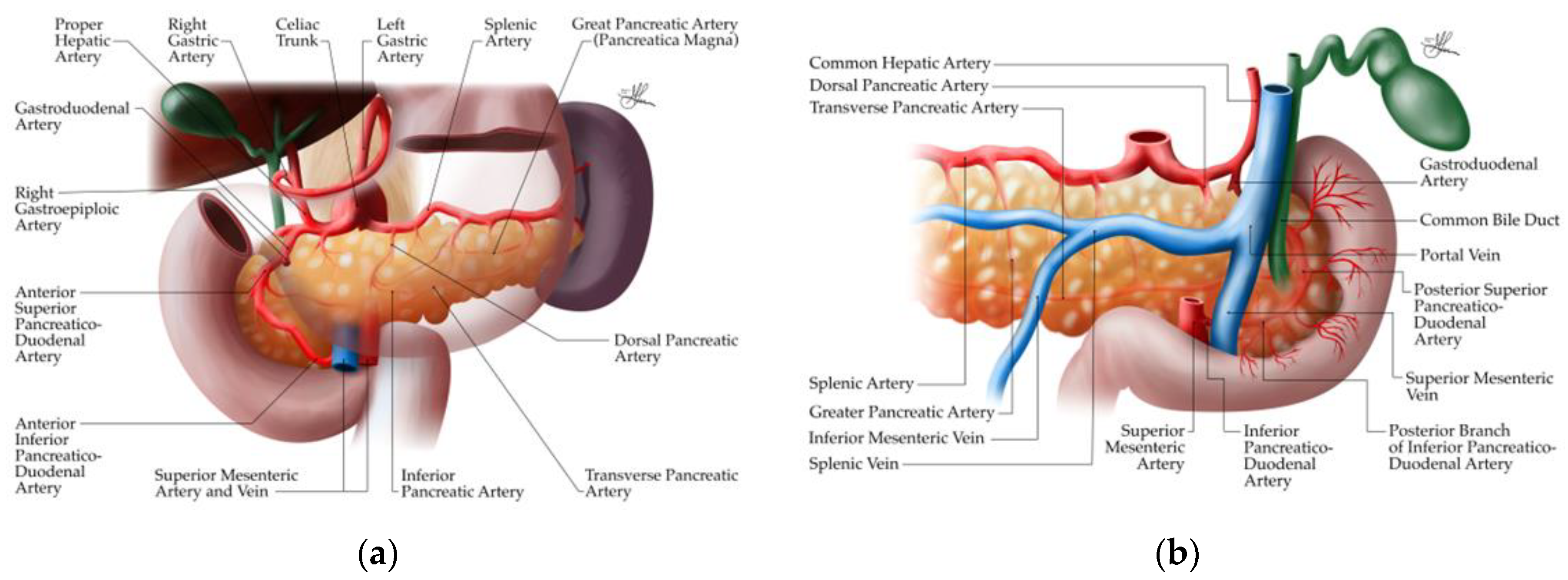 Preprints 121309 g008