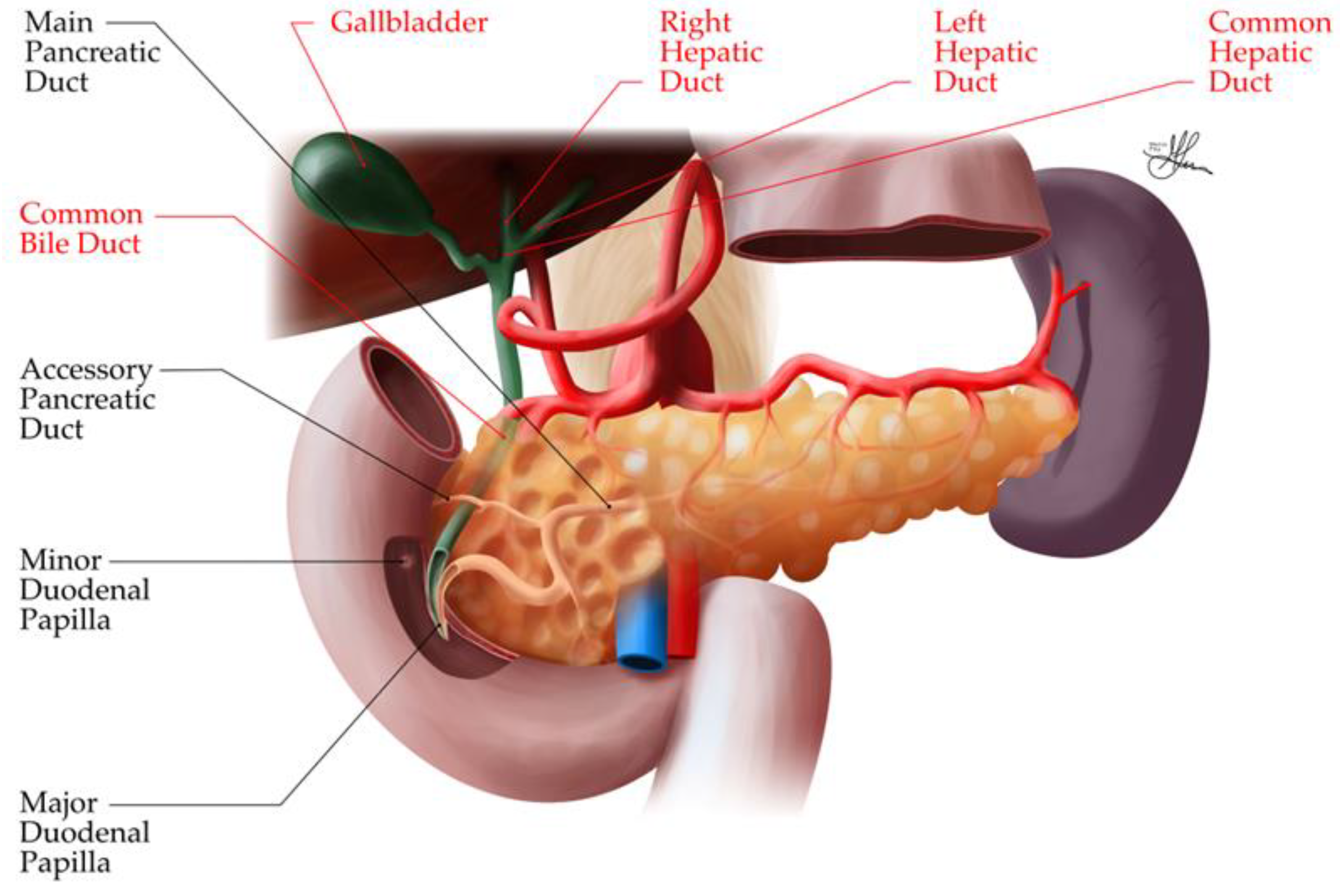 Preprints 121309 g009