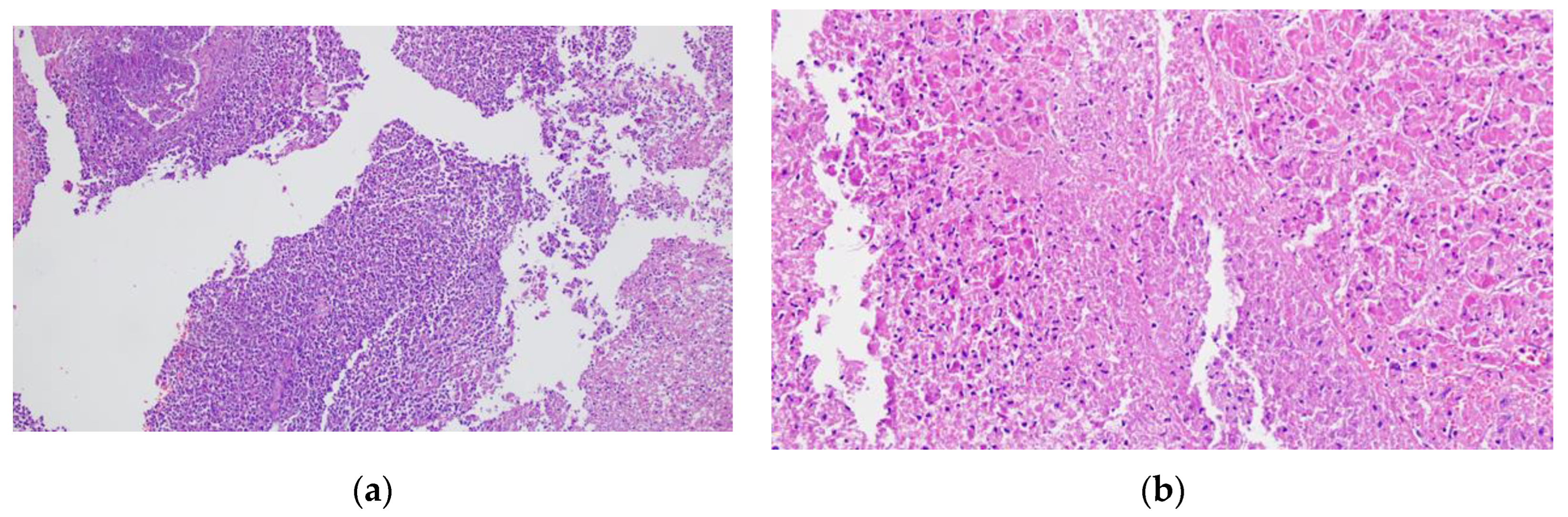 Preprints 121309 g010