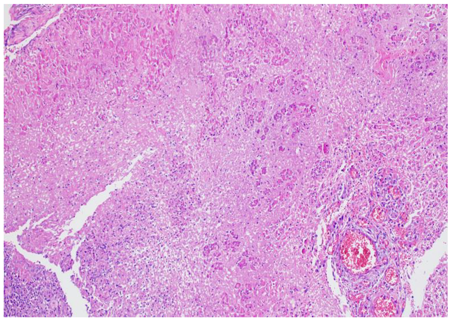 Preprints 121309 g011