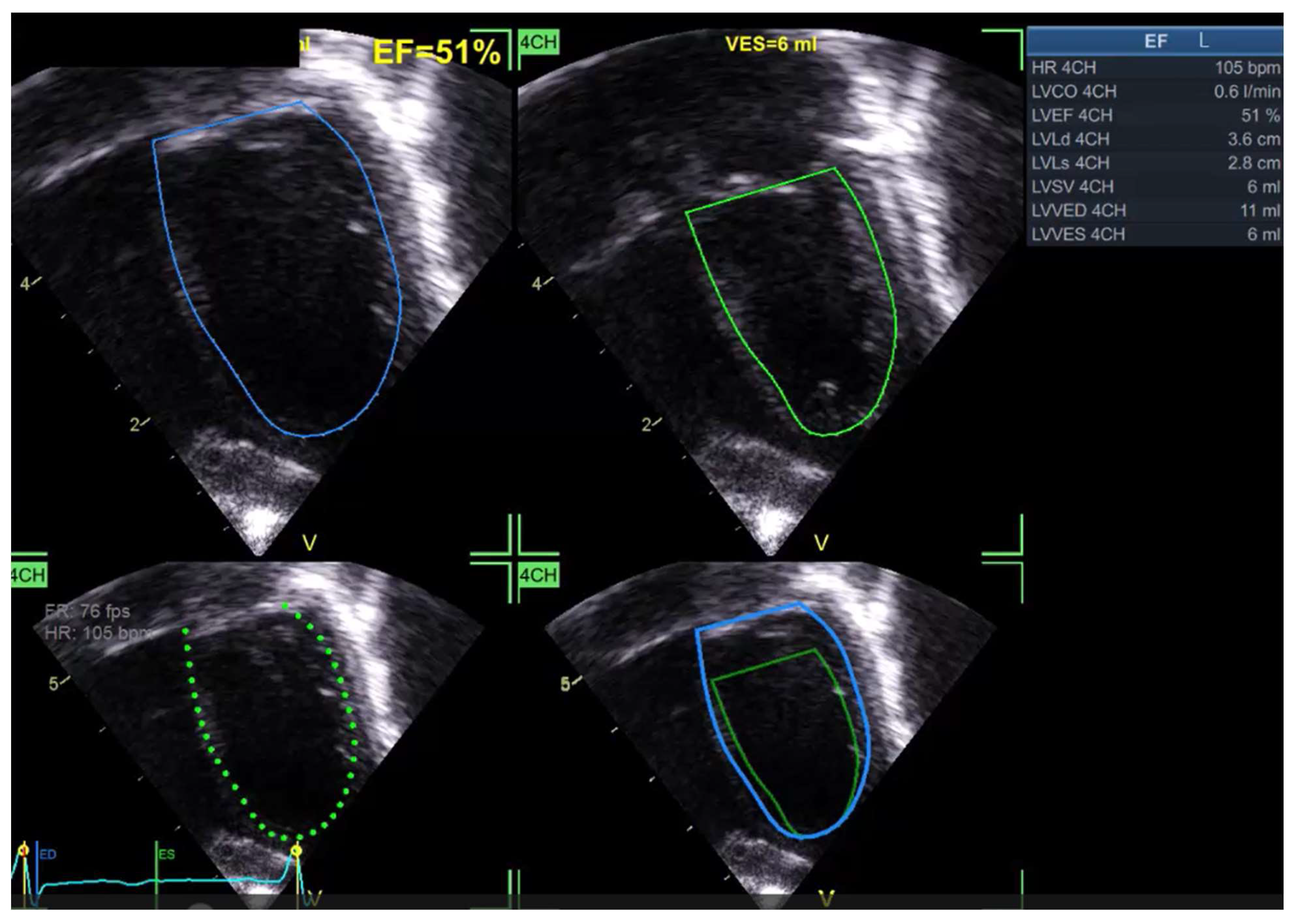 Preprints 159074 g002