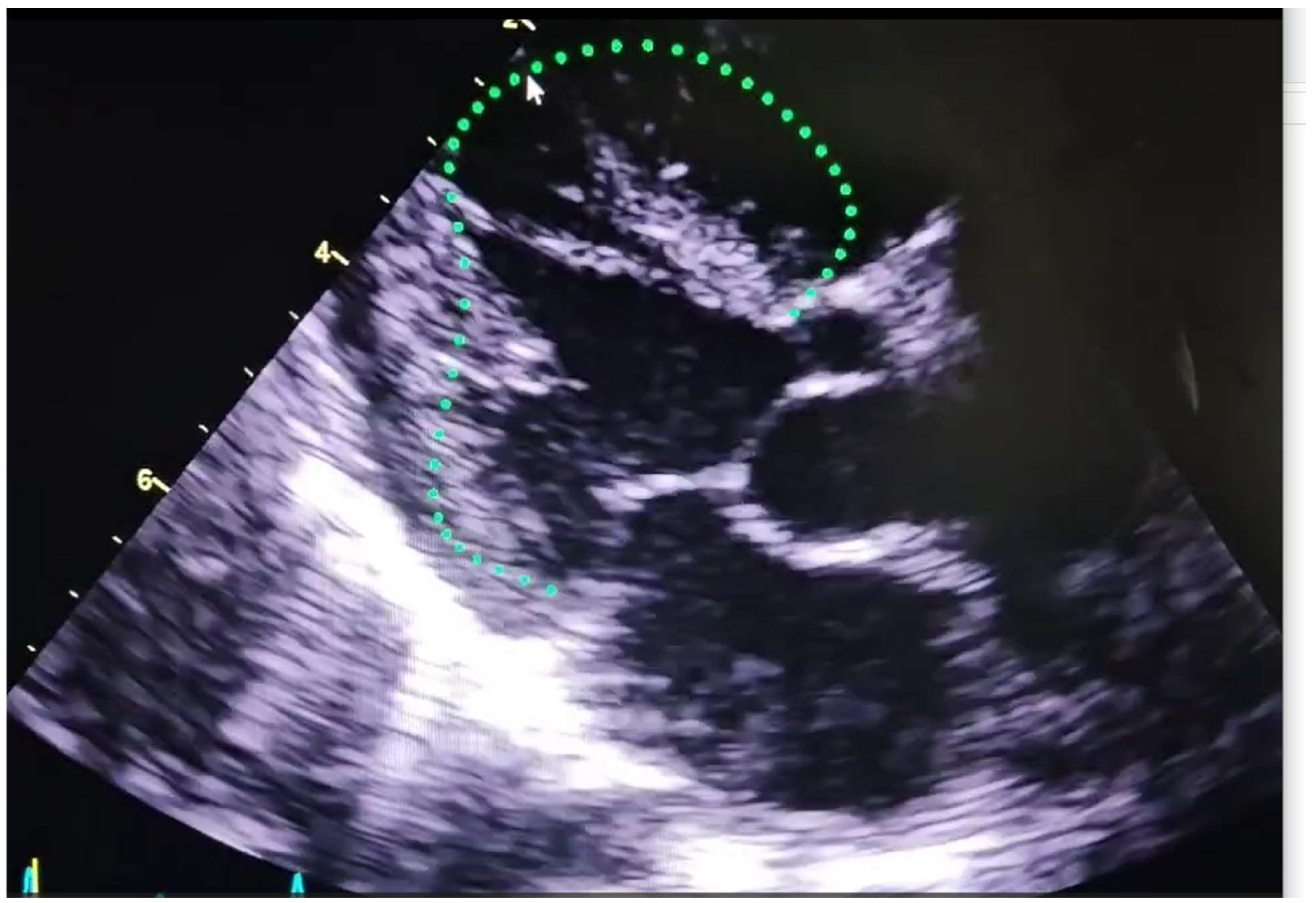 Preprints 159074 g003