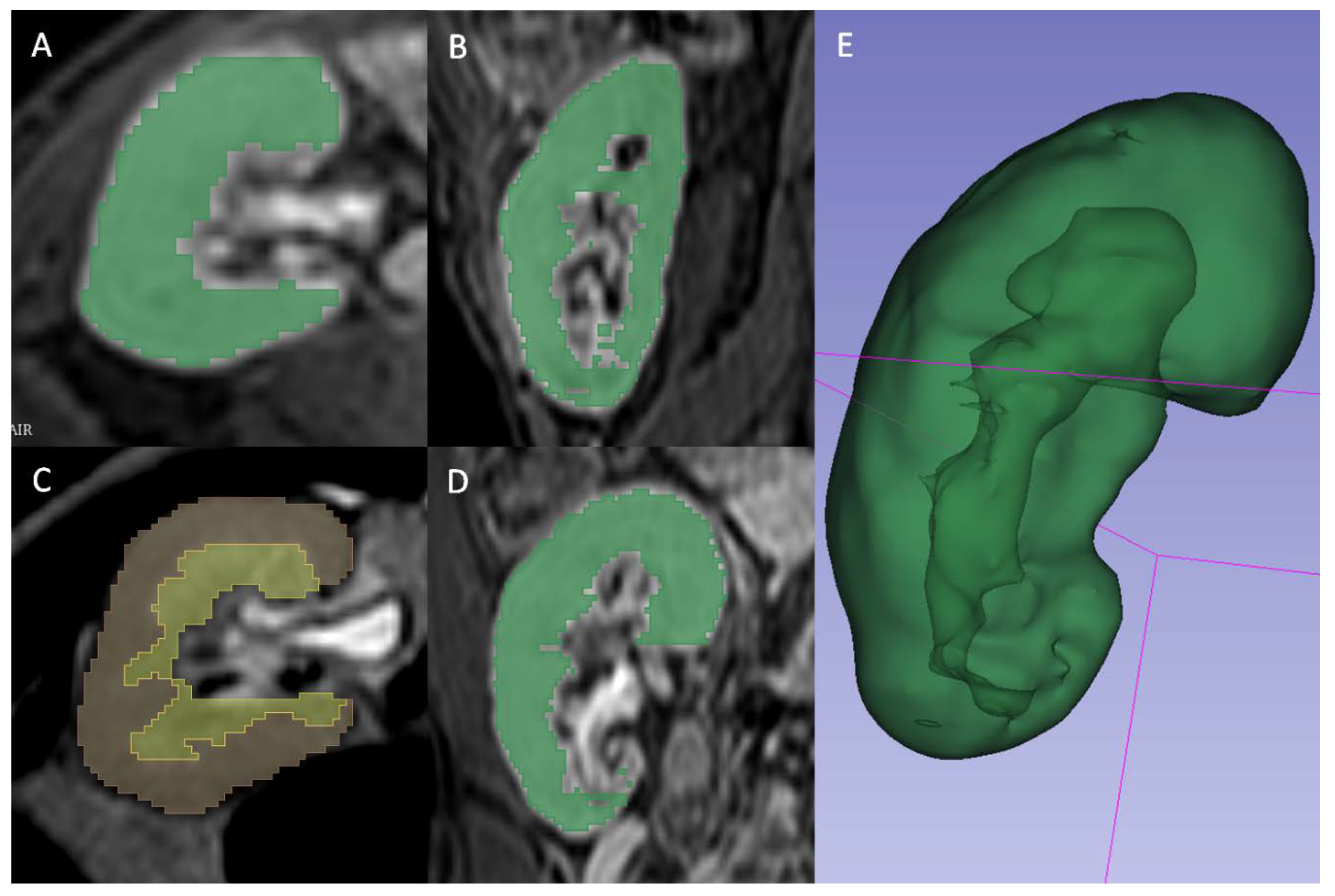 Preprints 113684 g002