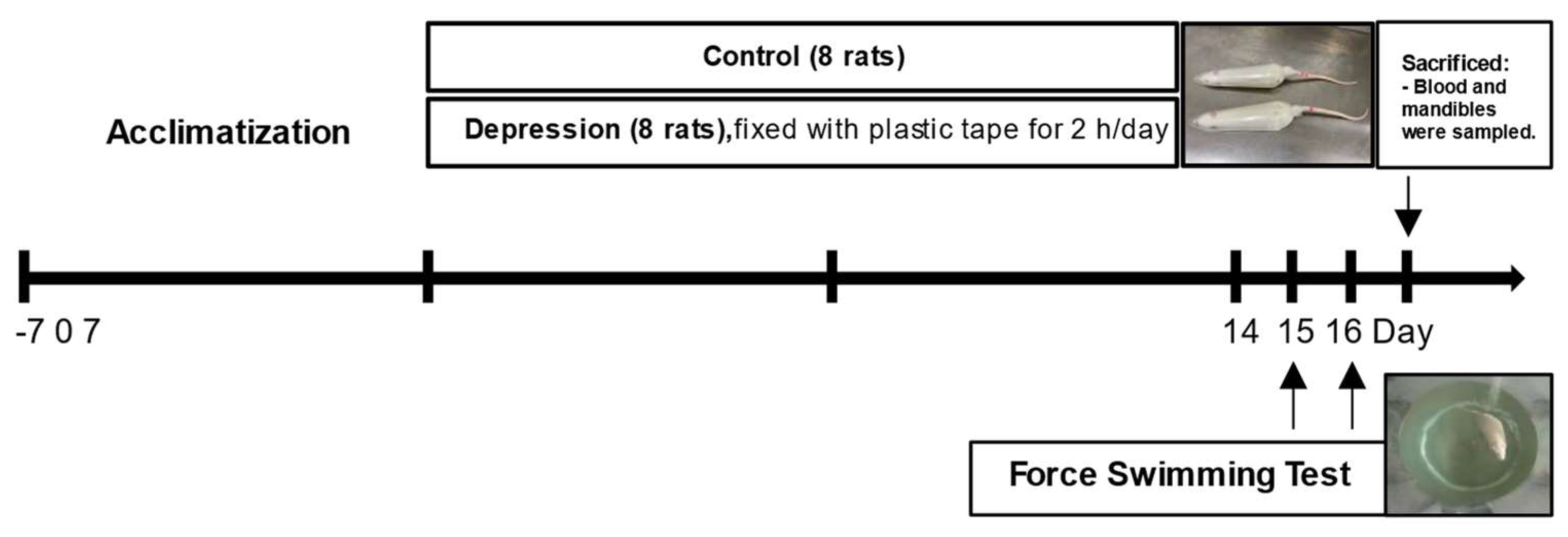 Preprints 152879 g001