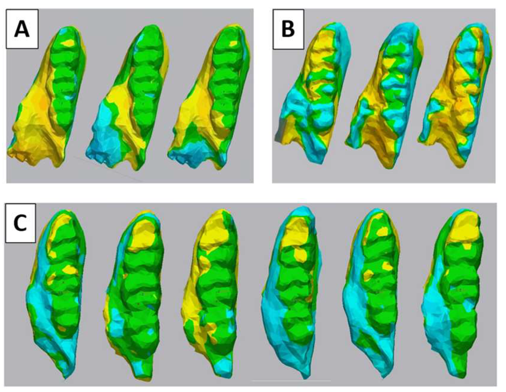 Preprints 152879 g005