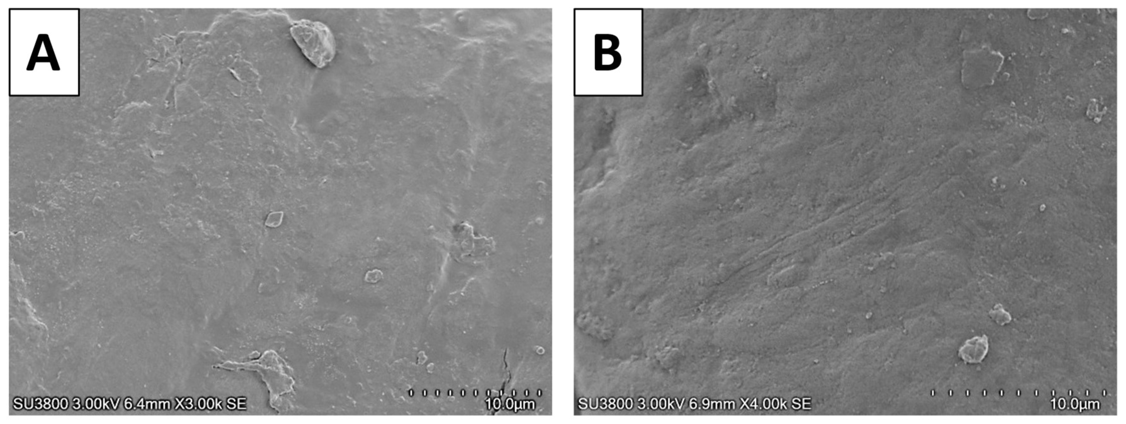 Preprints 152879 g008