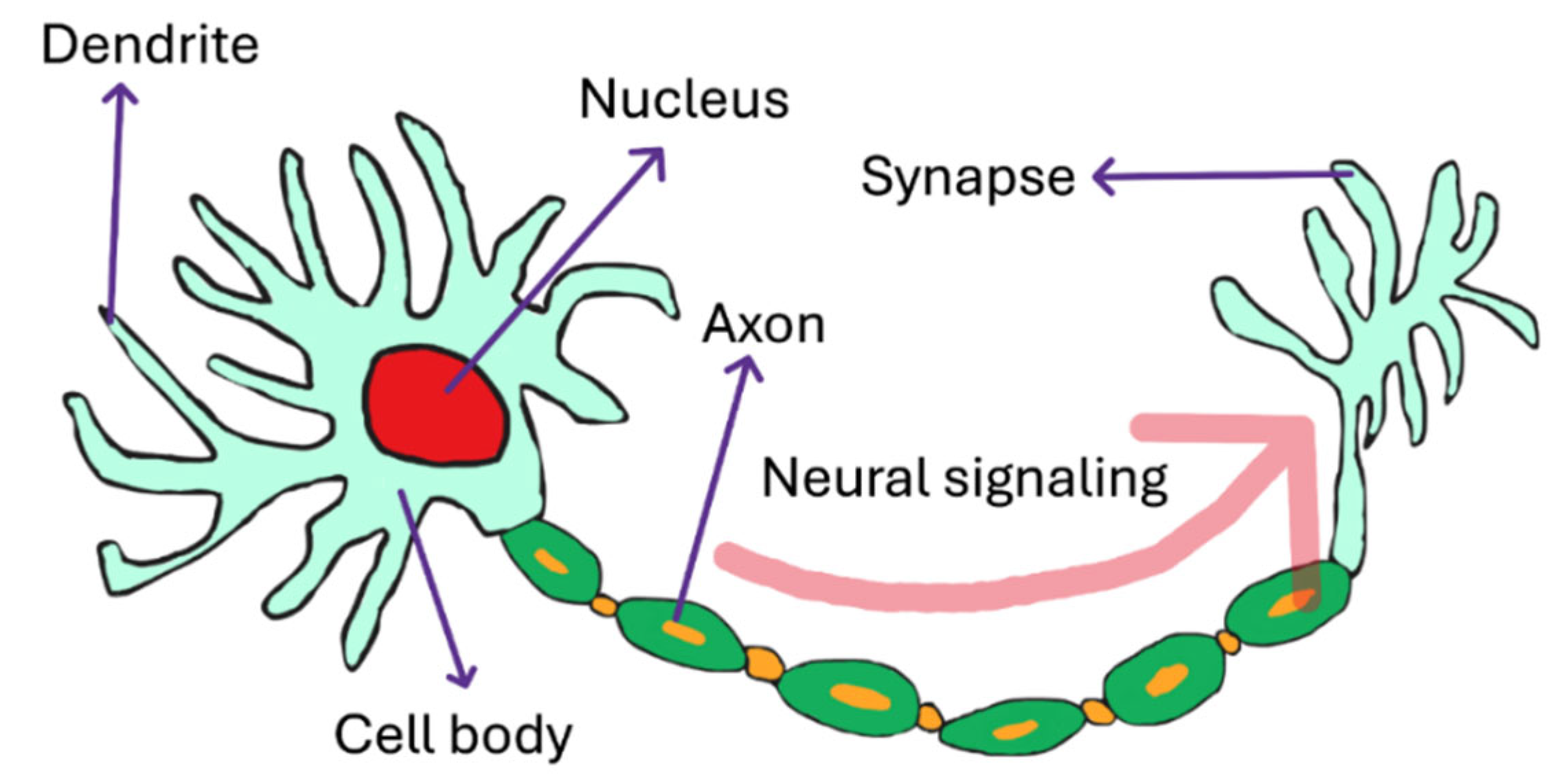 Preprints 180354 g001