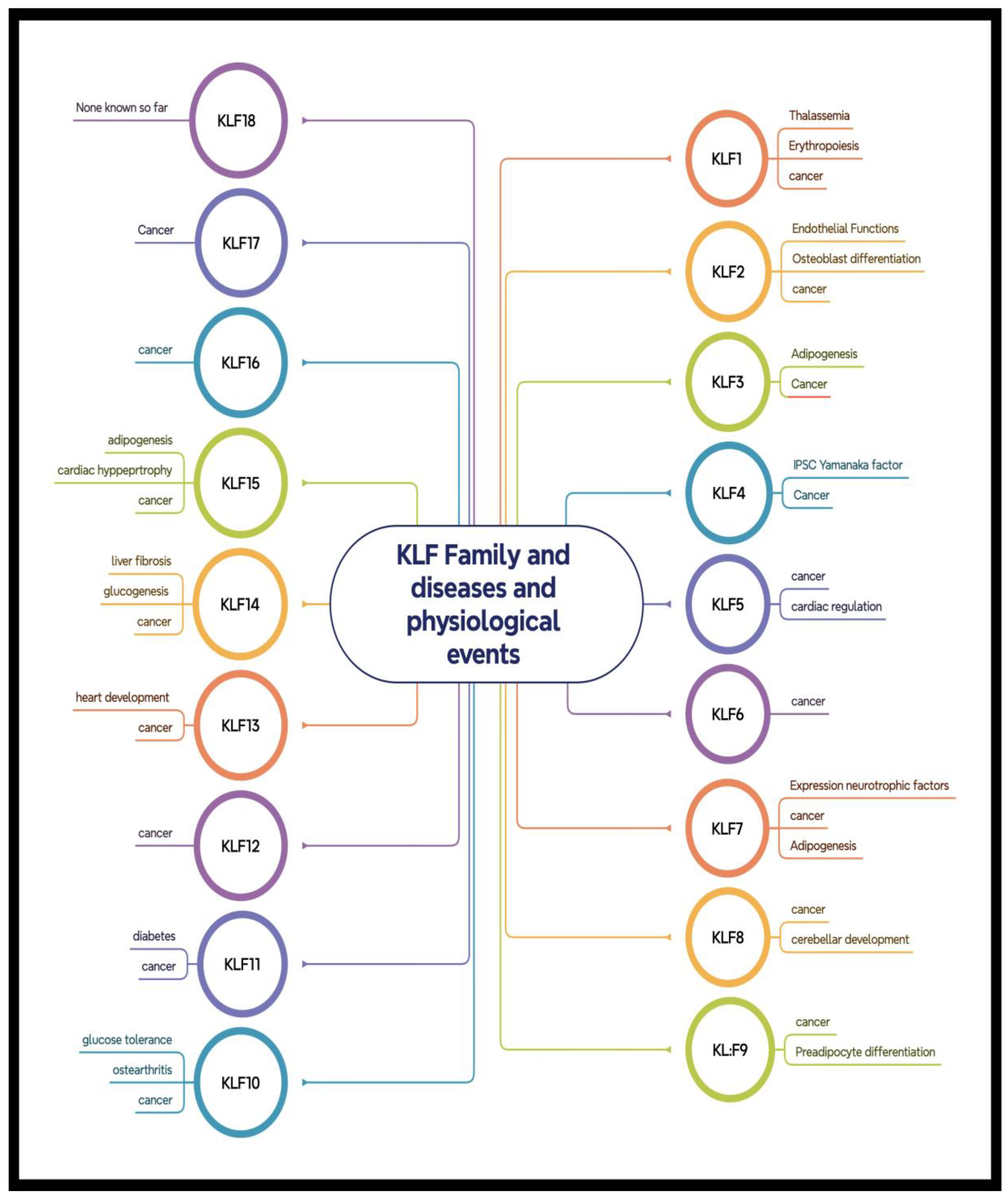 Preprints 148242 g001