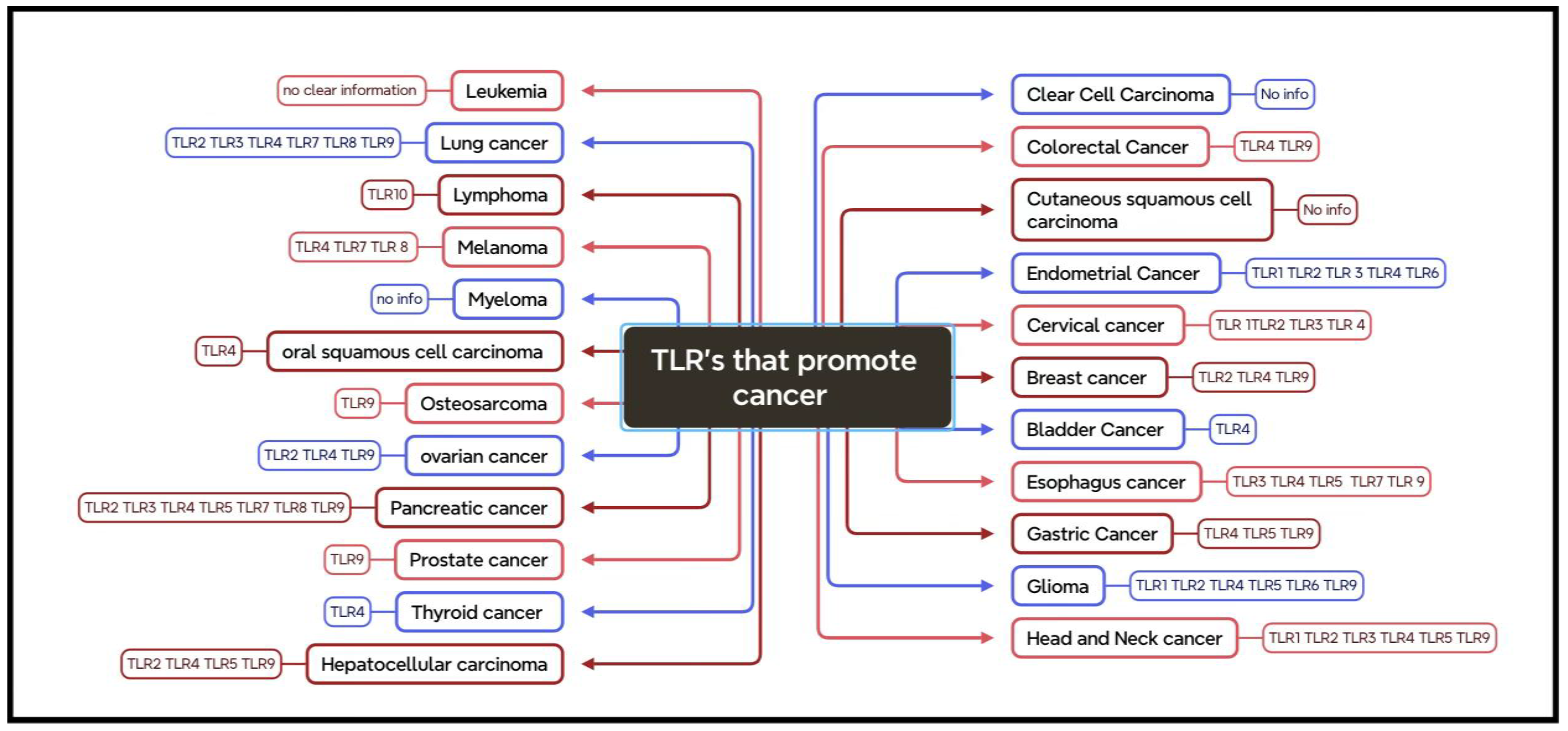 Preprints 148242 g006