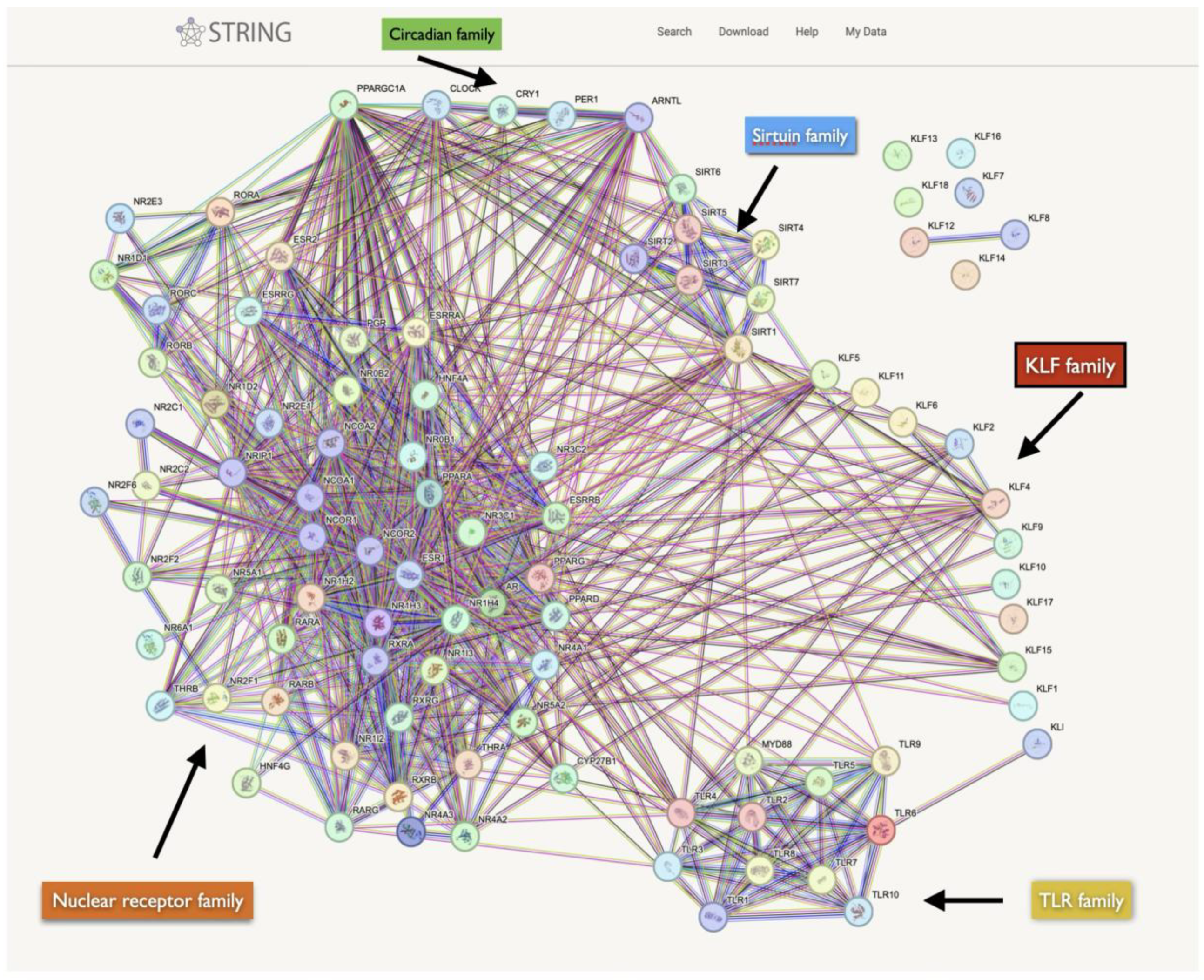Preprints 148242 g008