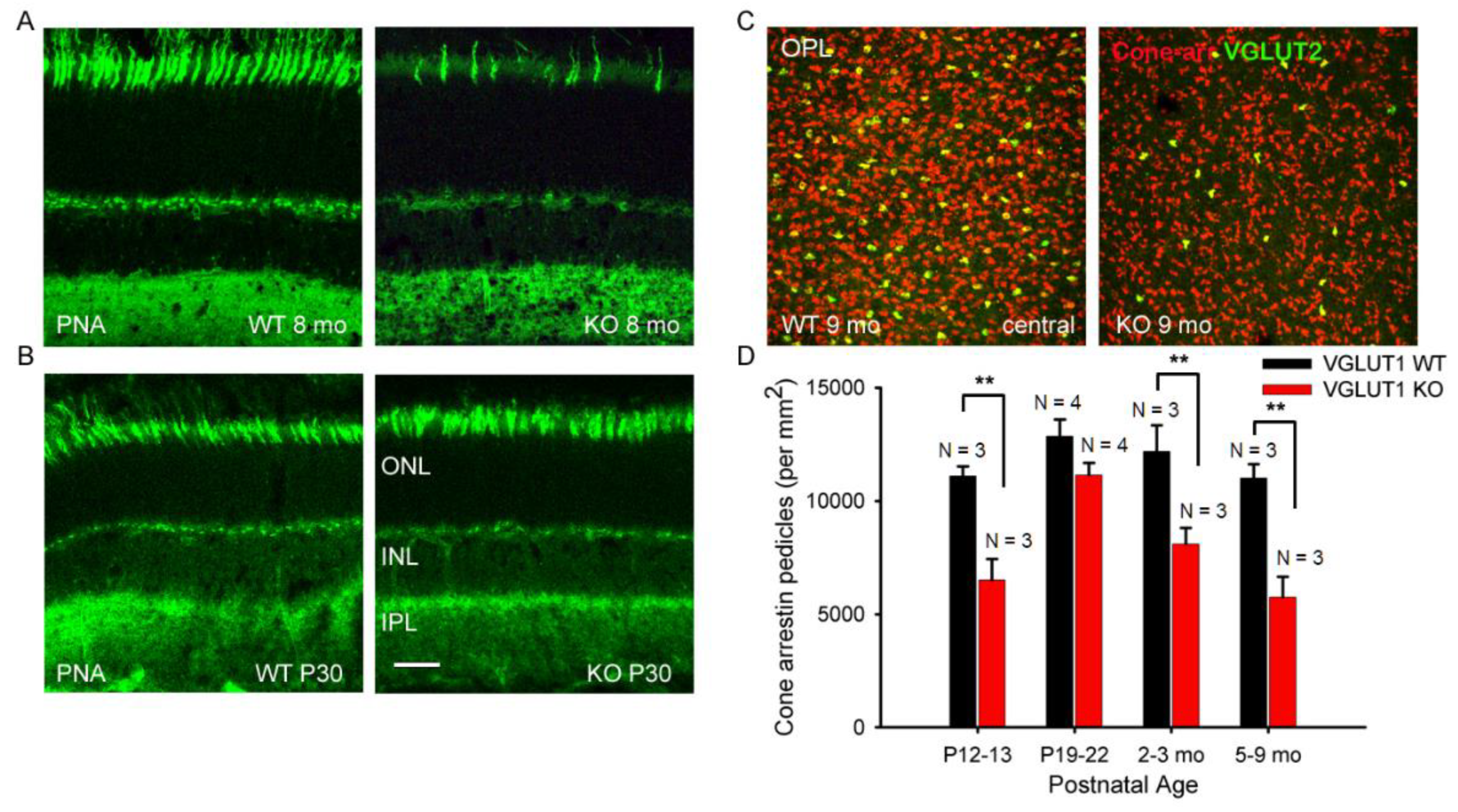 Preprints 175644 g003
