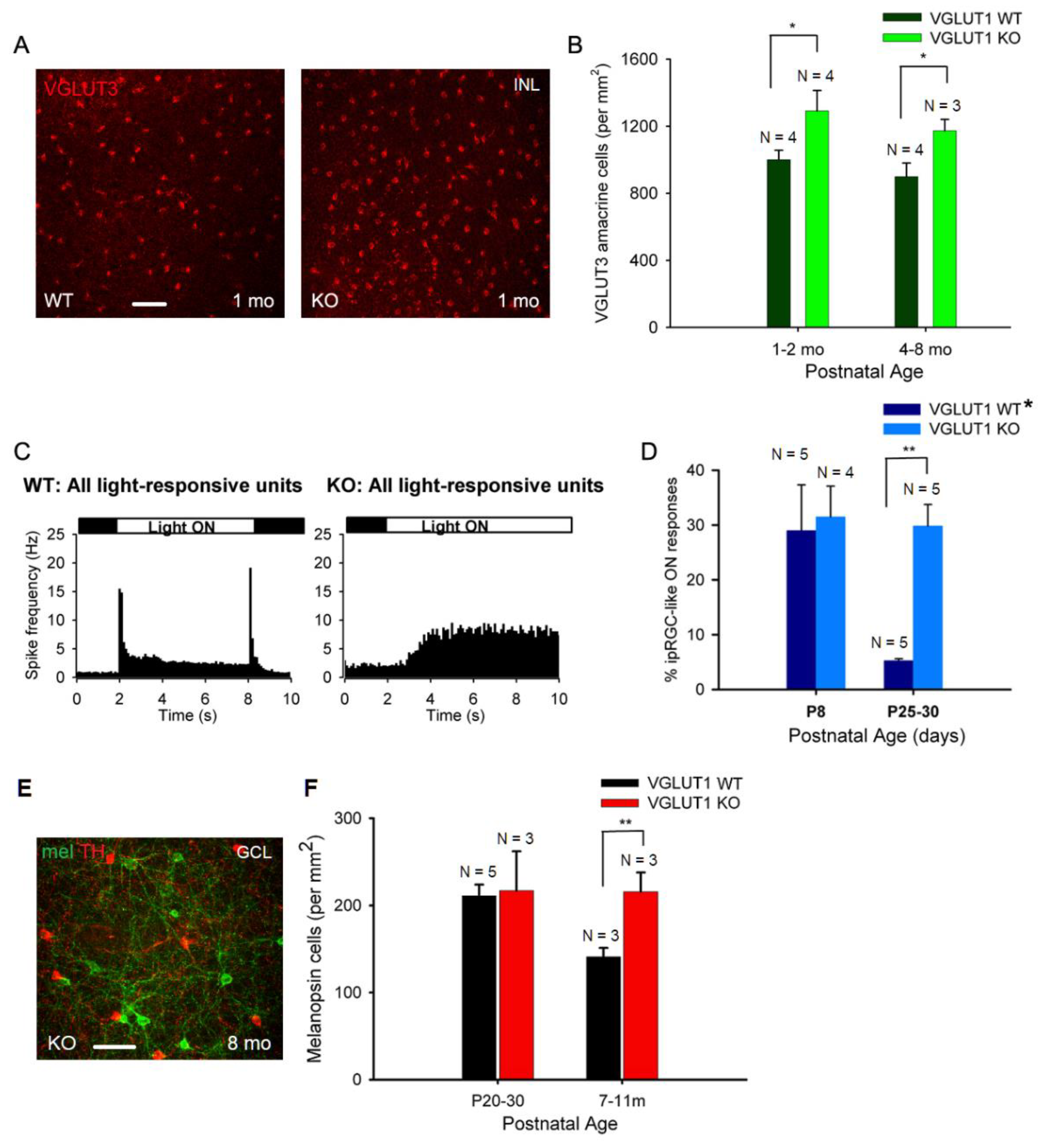Preprints 175644 g006