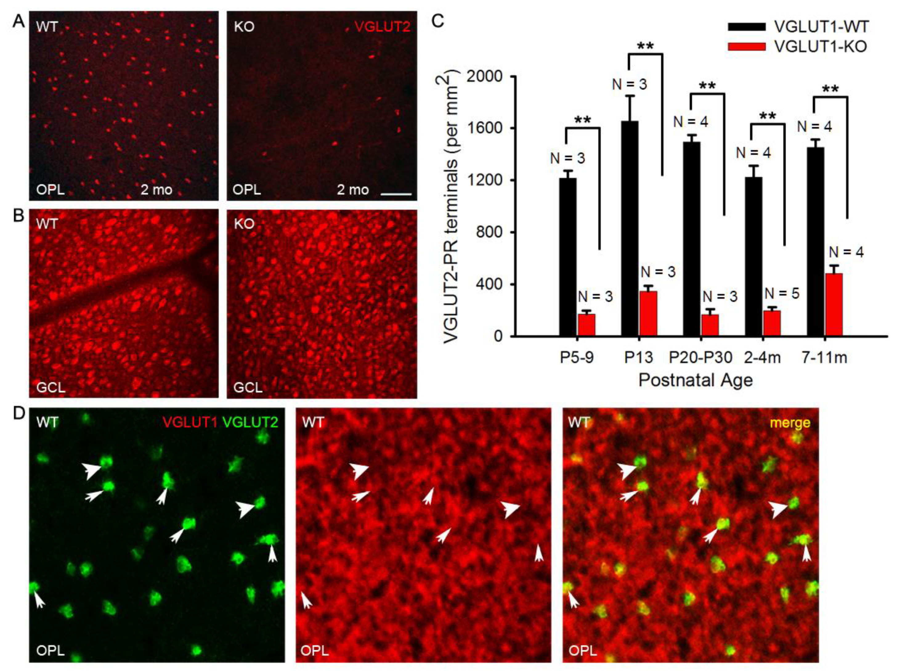 Preprints 175644 g008