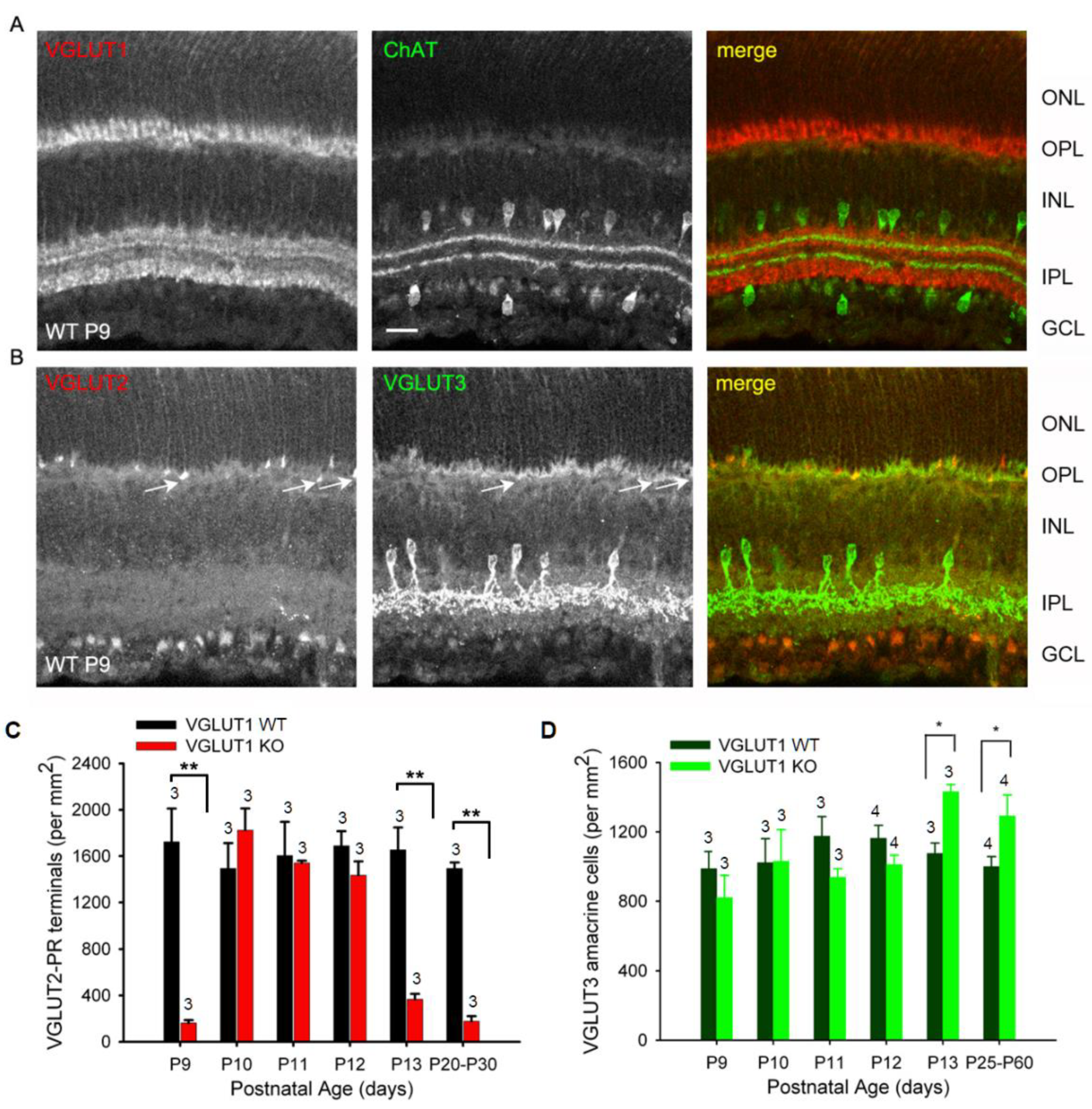 Preprints 175644 g009