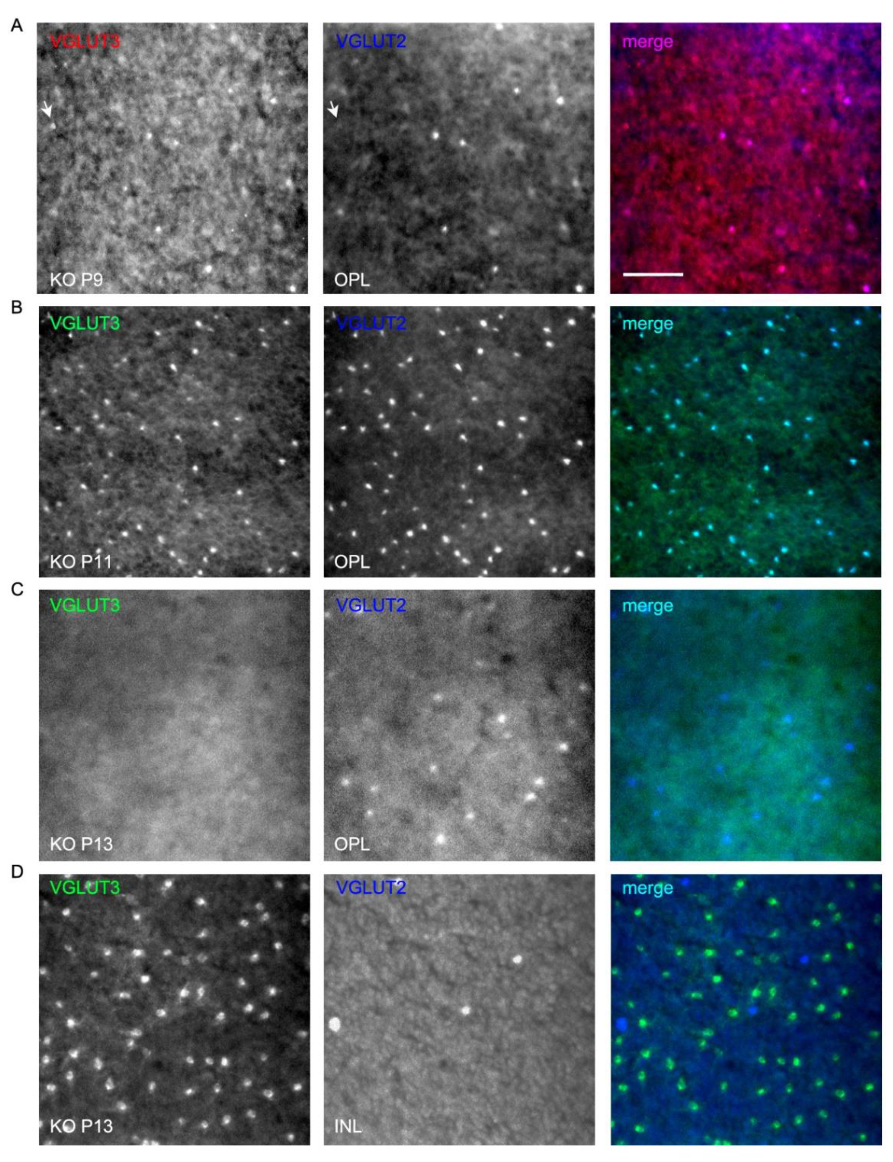 Preprints 175644 g010