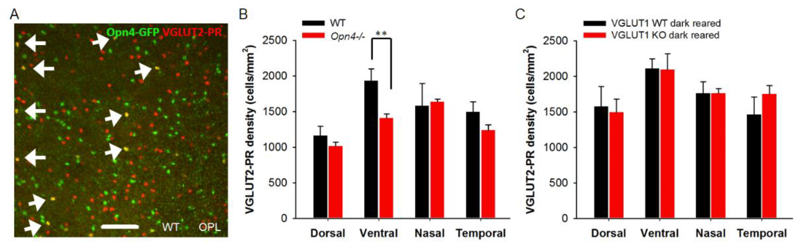 Preprints 175644 g011