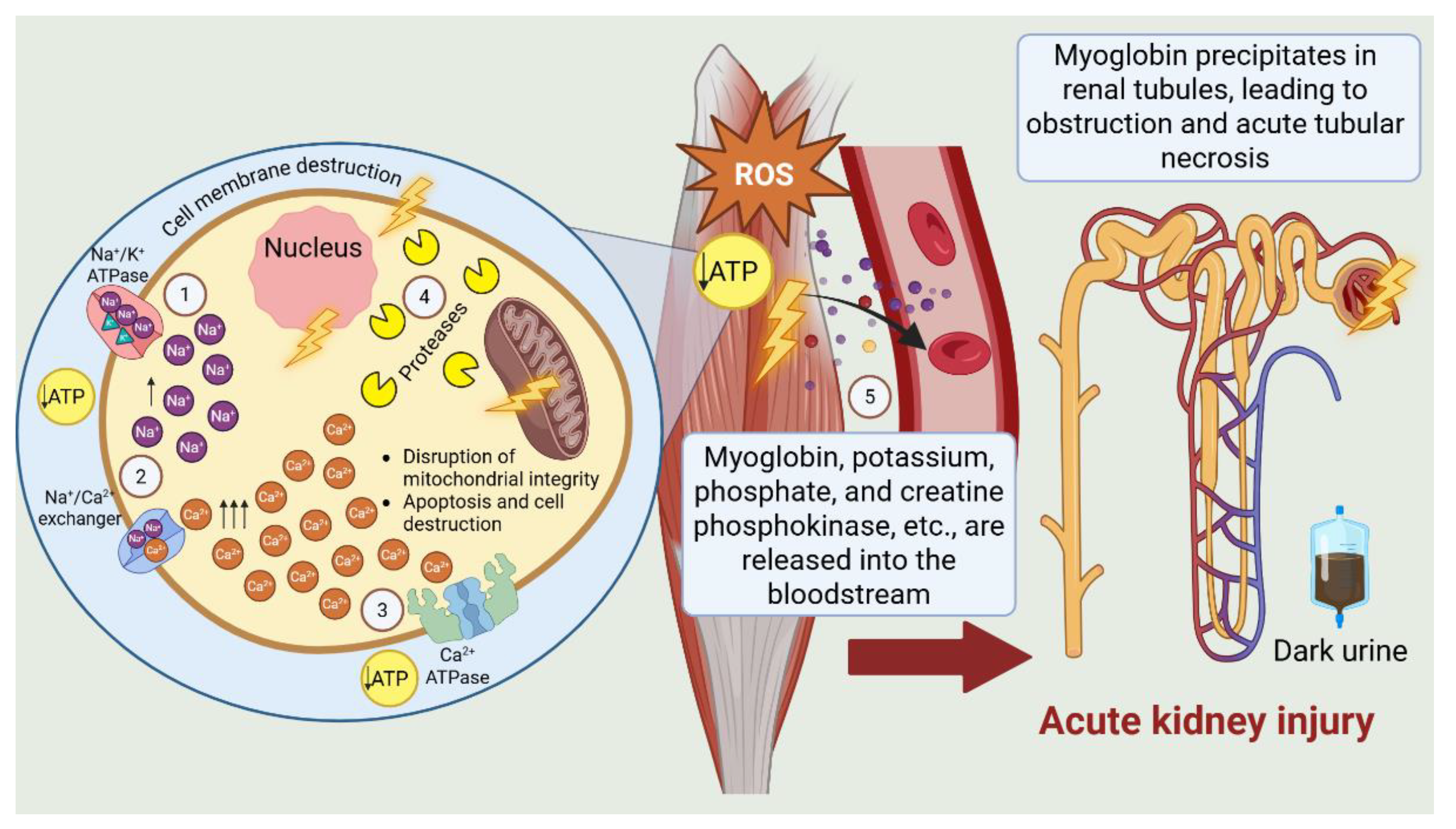 Preprints 194675 g001