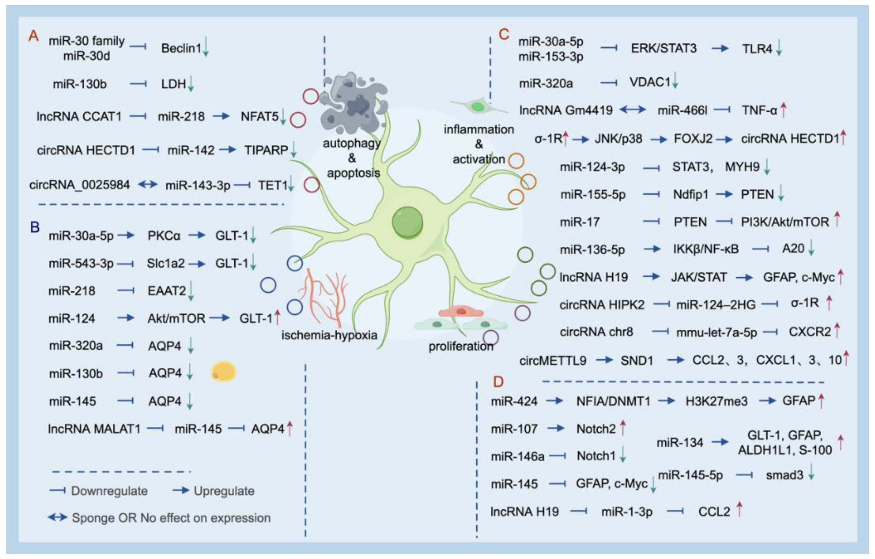 Preprints 93142 g001