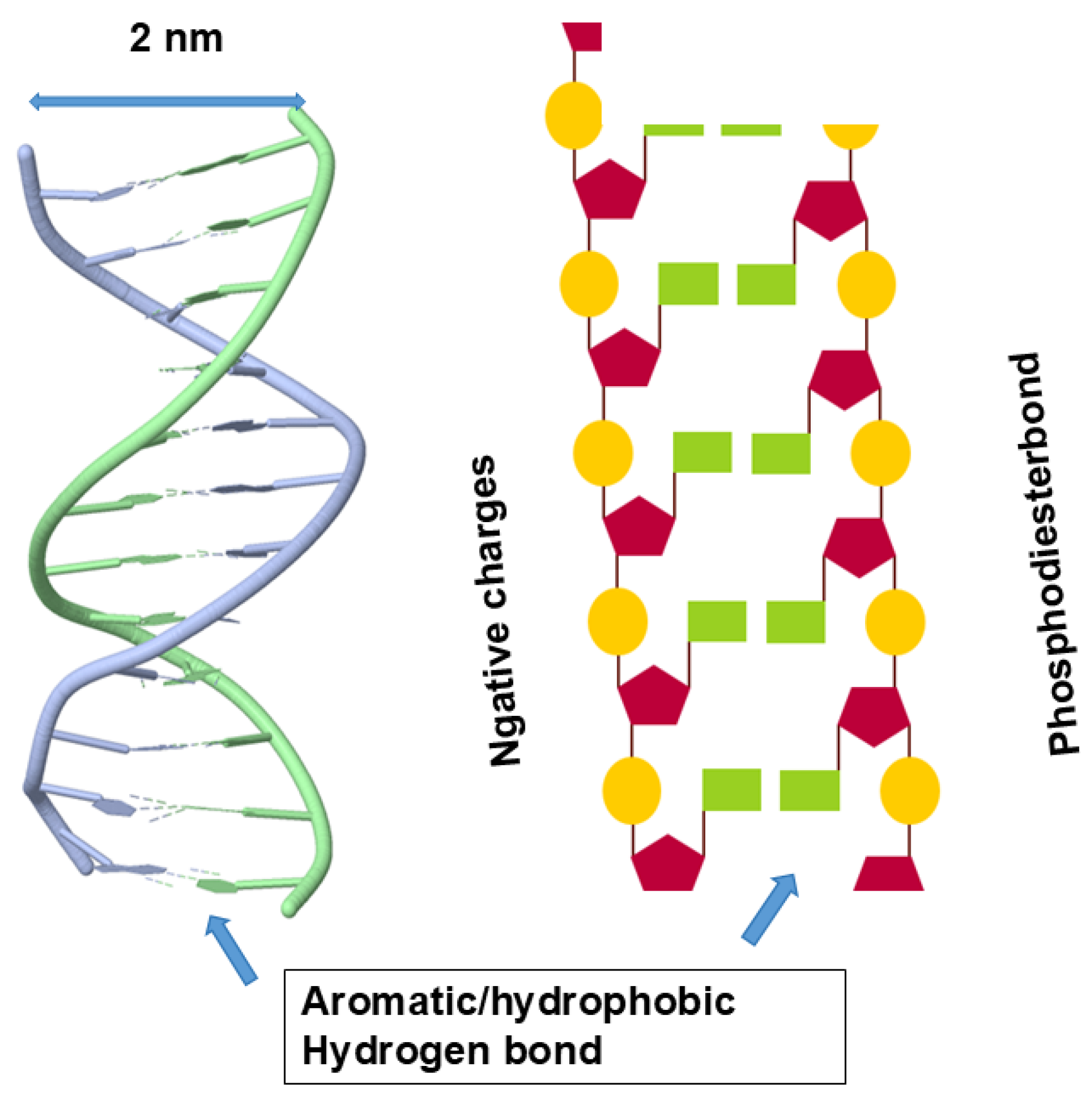 Preprints 183930 g004