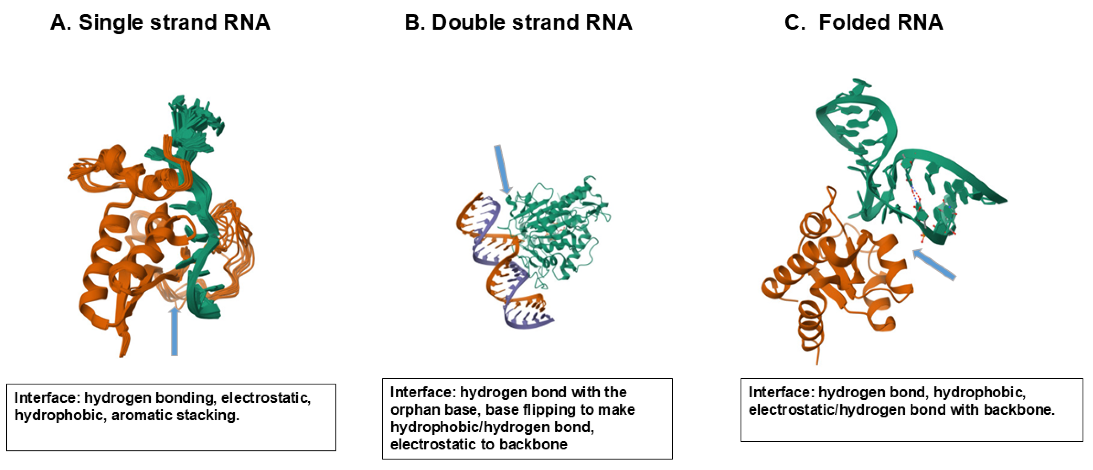 Preprints 183930 g007
