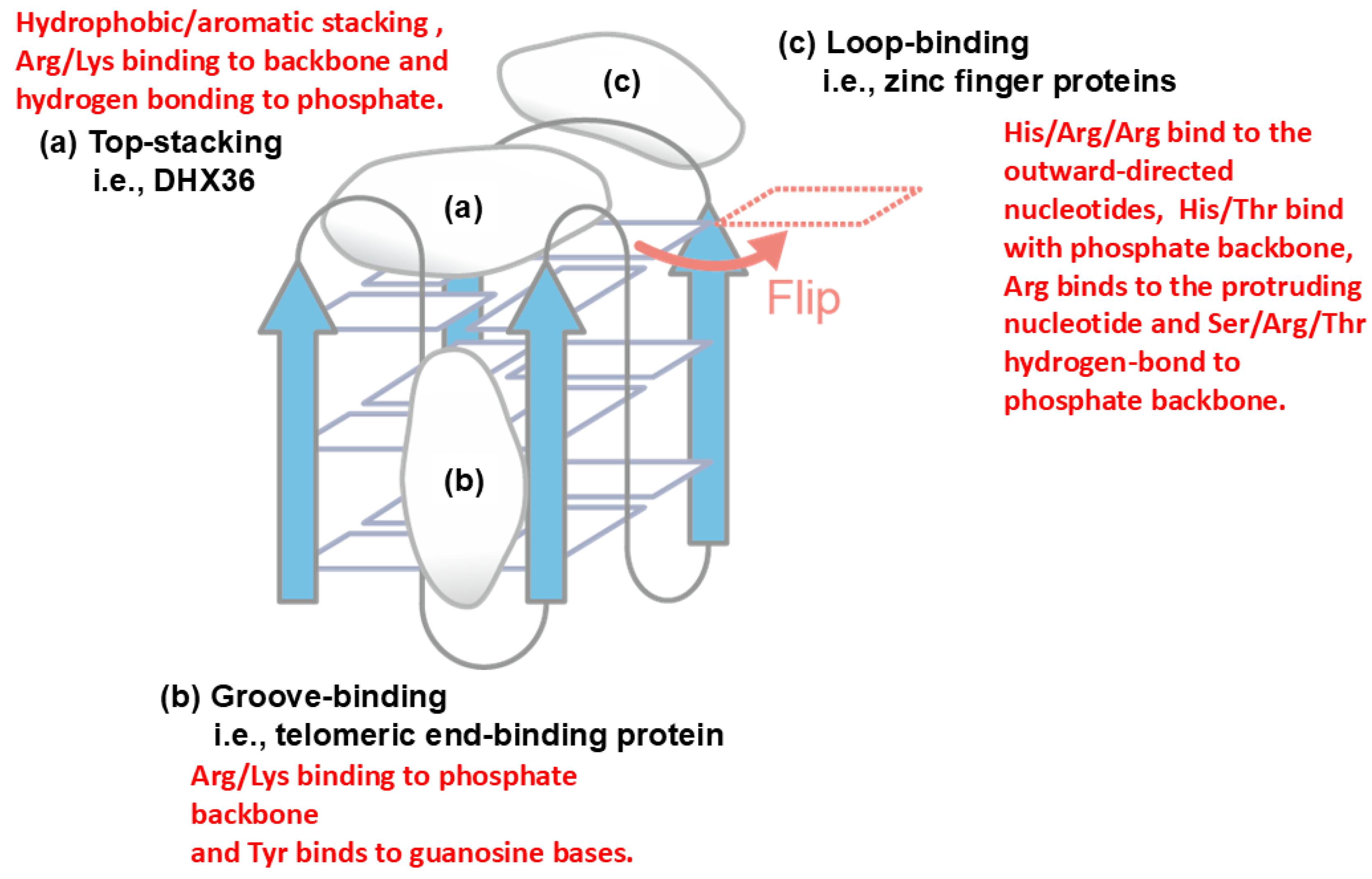 Preprints 183930 g008
