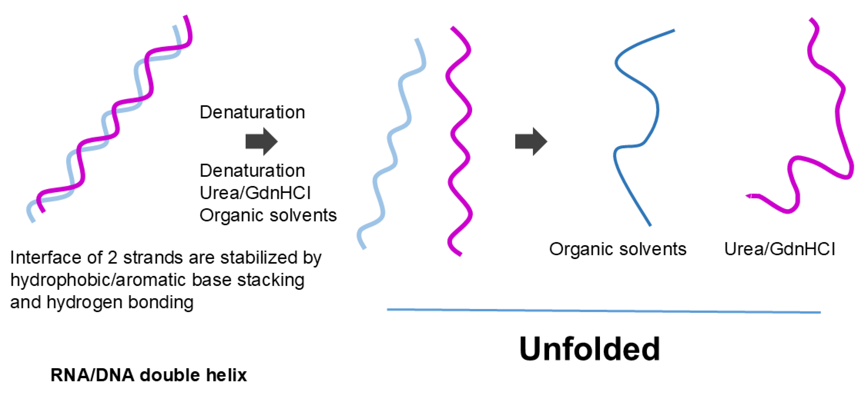 Preprints 183930 g011