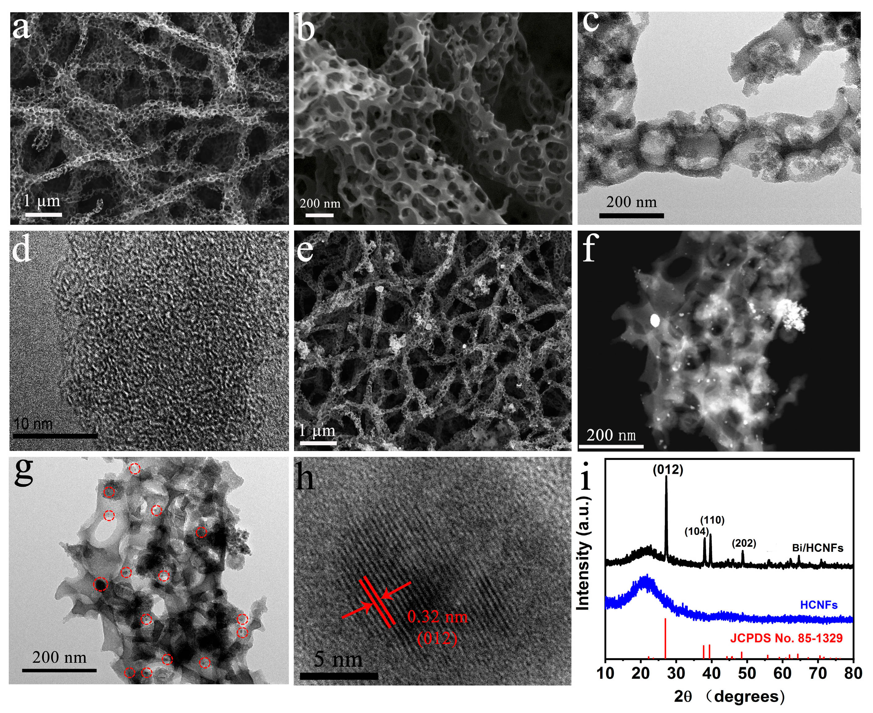 Preprints 71464 g001