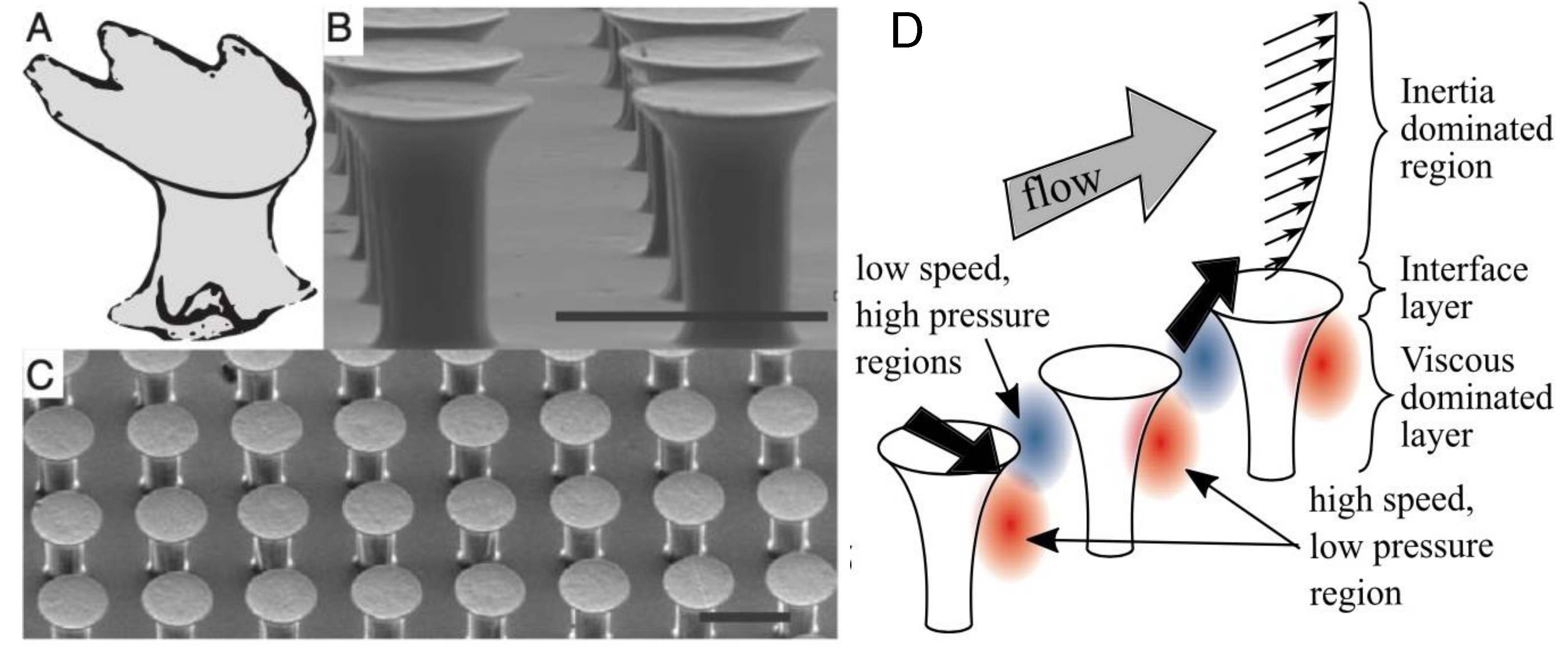 Preprints 121488 g001