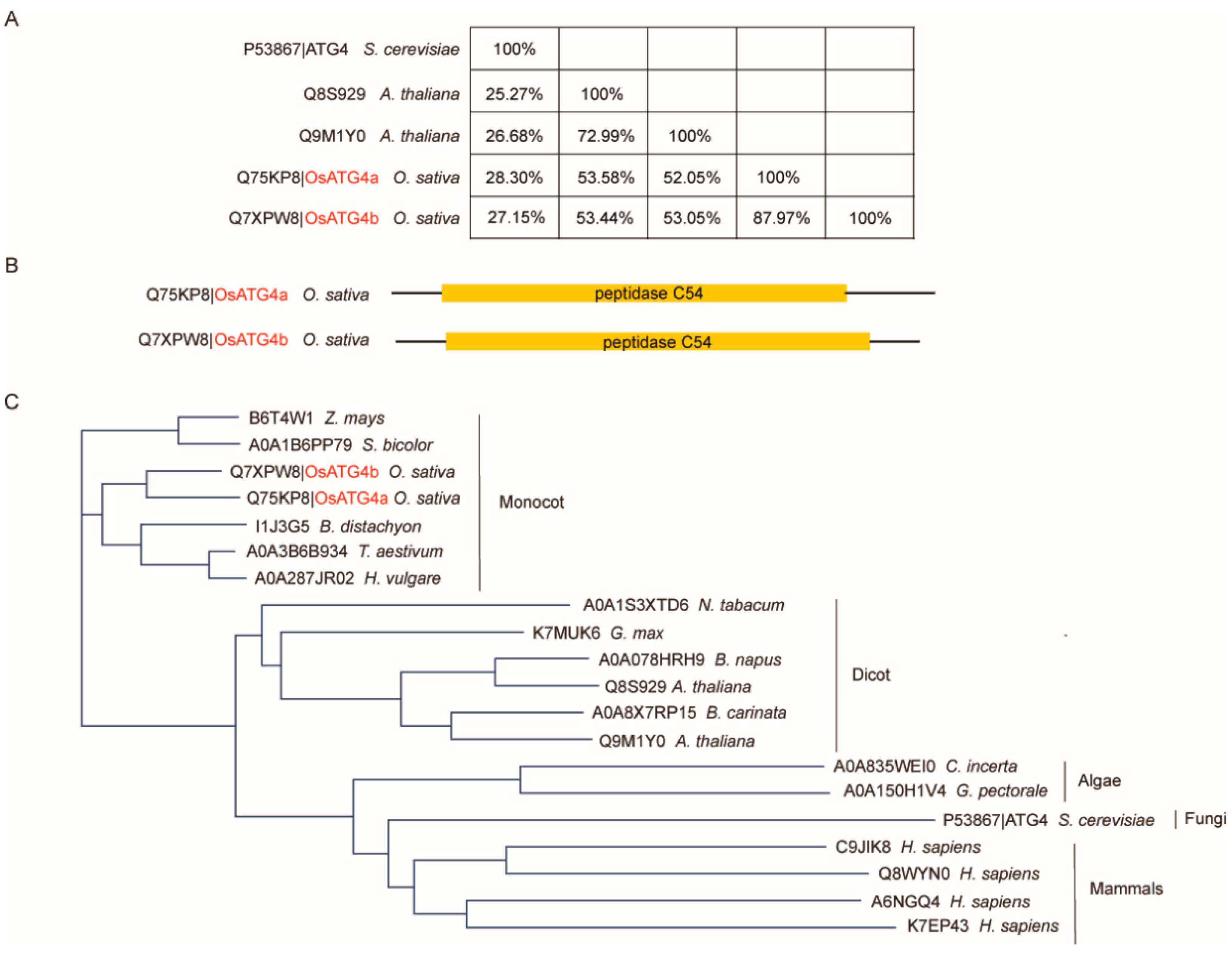 Preprints 166887 g001